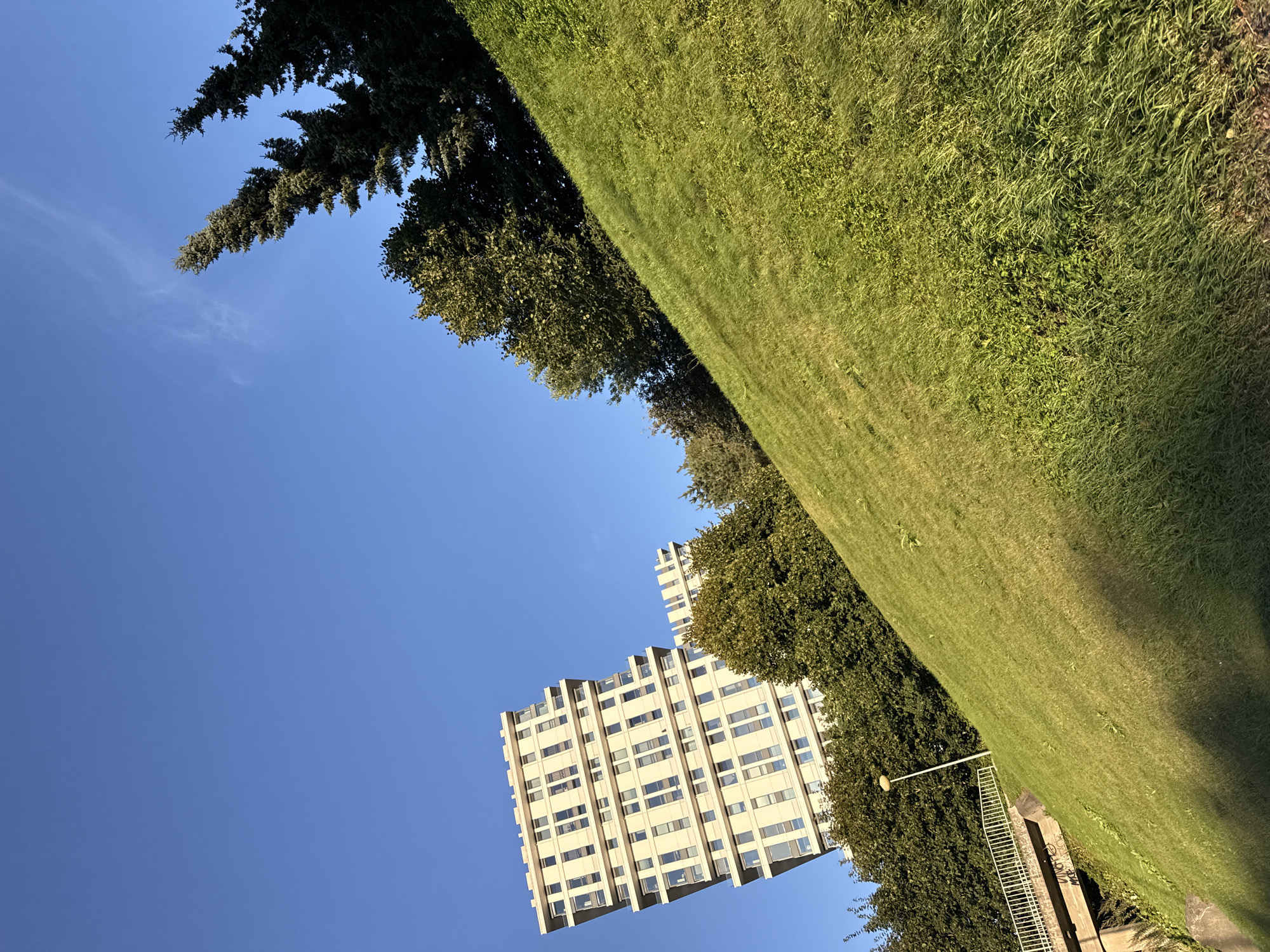 The image shows a tilted view of a grassy hill in Tallinn, Estonia. Two modern, light-colored apartment buildings with many windows are visible in the background. A row of trees, including tall evergreen trees, lines the top of the hill and separates the buildings from the sky. The sky is clear and blue. A white railing and a lamppost are visible on the lower part of the hill, near a concrete structure. The overall impression is of a modern urban landscape with natural elements.