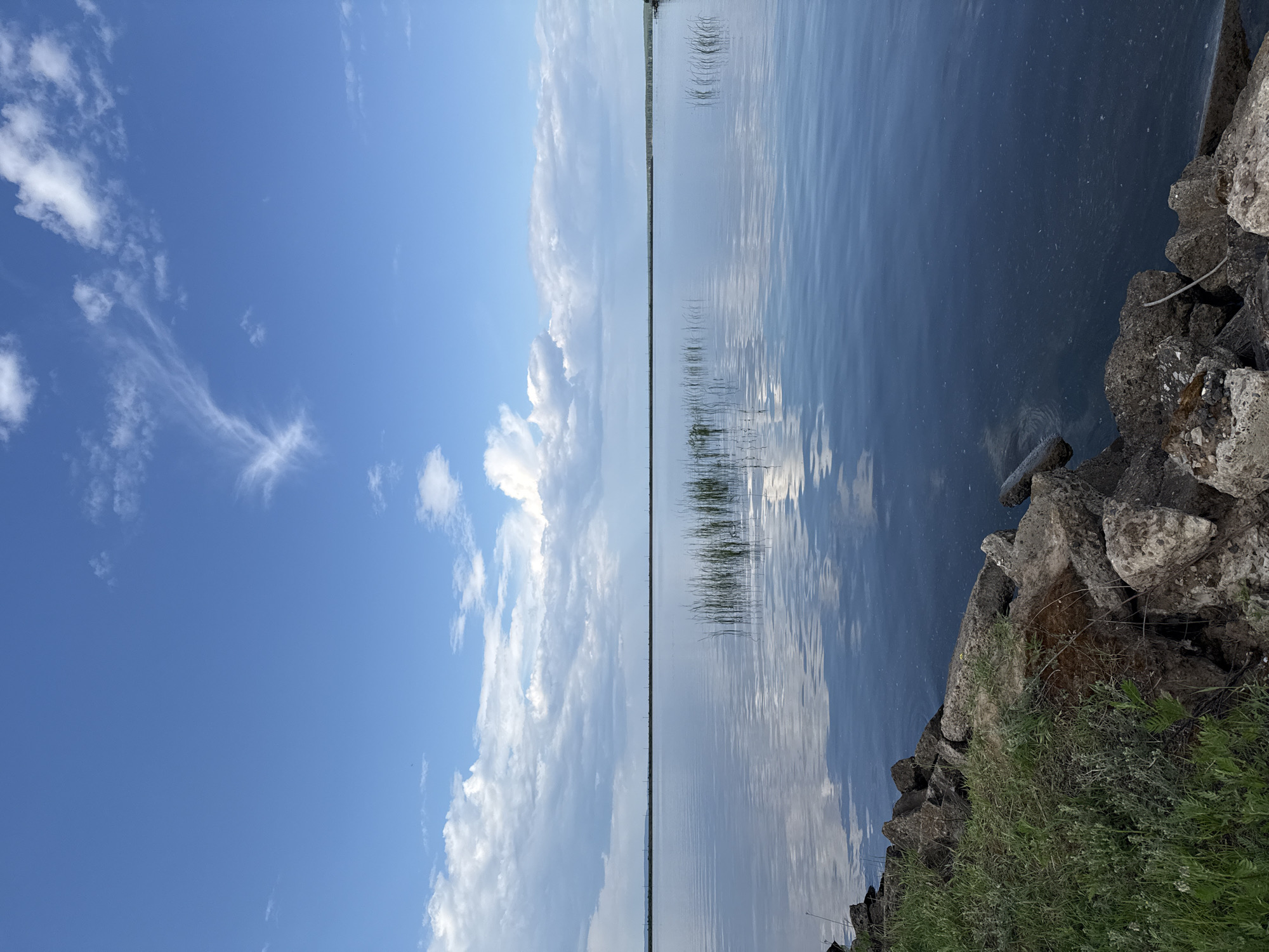 This is a landscape photograph of a wide, calm body of water, likely a lake or reservoir, under a bright blue sky with scattered white clouds. The water is still, reflecting the sky and a line of tall grass growing near the shore. The foreground features a rocky embankment covered in green grass and vegetation. In the far distance, a faint, hazy line suggests a distant shore or a horizon marked by structures or trees. The overall impression is one of serene natural beauty. The scene is consistent with a location on the Kama River, near the city of Chaikovsky, Russia, given the presence of vast water bodies and flat terrain.