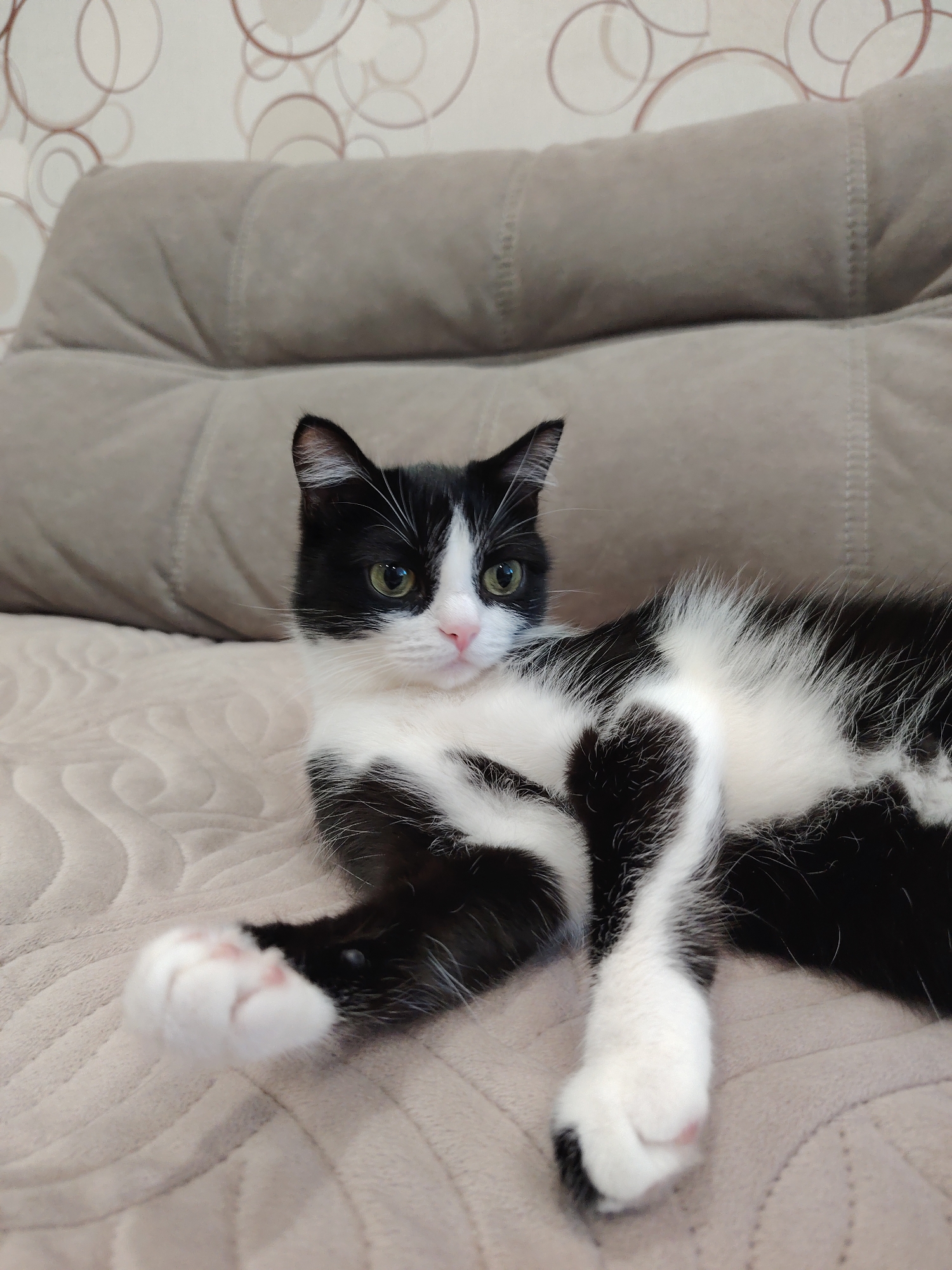 A black and white cat is lying on a beige couch with a patterned wallpaper in the background. The cat is in the center of the image, facing the camera with its body stretched out. Its fur is a mix of black and white, with distinct patterns on its face and body. The cat has green eyes and pink paw pads. The couch appears to be upholstered in a textured fabric, and the wallpaper has a circular motif. The lighting is even, suggesting an indoor setting. There are no people or other animals visible in the image.