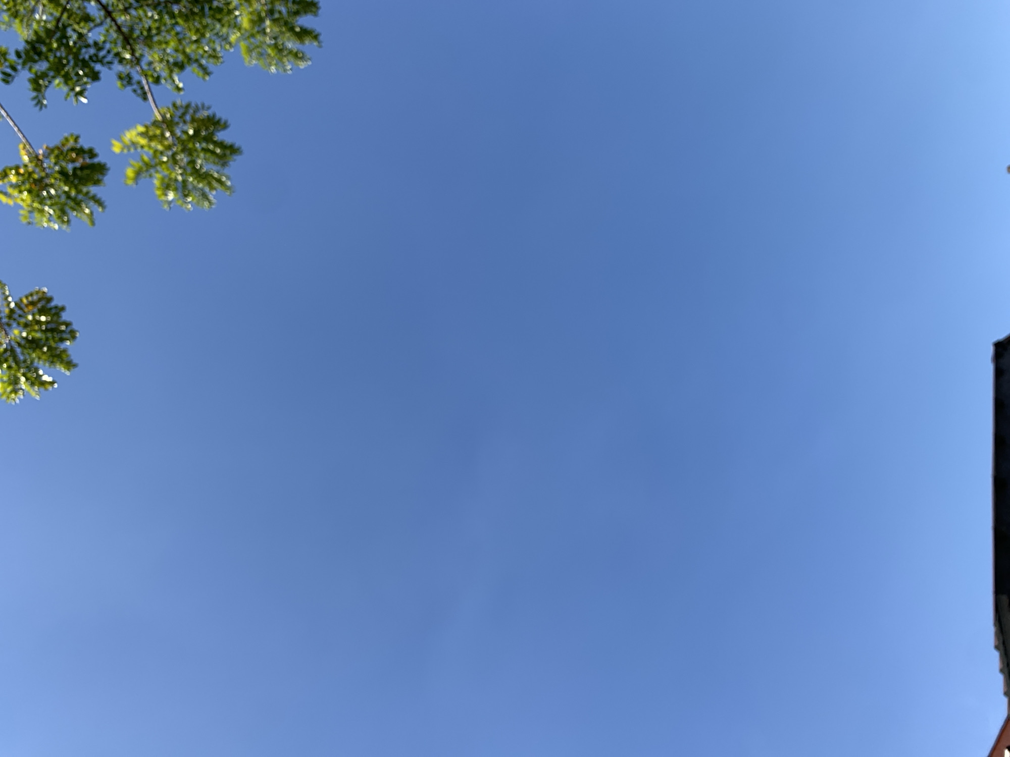 A clear blue sky dominates the frame, with the tops of green tree branches visible in the upper right corner. A dark, linear object, possibly the roof of a building, occupies the lower edge of the image. The scene appears to be outdoors, suggesting a daytime setting in a location like Makassar, Indonesia, where such clear skies are common.