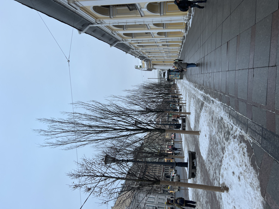 The image depicts a winter street scene on Nevsky Prospekt in Saint Petersburg, Russia, facing approximately west. The sky is overcast and light grey.
On the right side of the frame, the Grand Gostiny Dvor building is prominently featured, a long, multi-story structure with a yellow facade, white neoclassical columns, and a series of arched windows and recessed loggias. A dark roofline extends above the building's upper story. A wide, dark-tiled sidewalk, largely clear of snow, runs parallel to this building.
To the left of the sidewalk is a central pedestrian median. This median is lined with a row of slender, bare deciduous trees, their lower trunks wrapped in light brown protective material. Dark, ornate lampposts and stone benches are interspersed among the trees. The ground in this median consists of dark paving mixed with irregular patches of melting snow and ice.
Further left, a multi-lane roadway is visible, with several vehicles, including cars, traveling in the distance. Beyond the roadway, other multi-story historical buildings line the street. A blue and white kiosk or shelter is visible further down the central median. A single overhead utility wire traverses the upper portion of the frame.
Several individuals are present:
- On the left side of the central median, a person wearing a backpack walks away from the viewer.
- On the right sidewalk, a woman in a light-colored jacket walks away from the viewer.
- On the far right foreground, another individual in a dark jacket walks towards the viewer.
- Additional pedestrians are visible further down the street near the kiosk/shelter and along the roadway.
No specific interactions among the individuals are discernible. The scene illustrates urban activity under cold, likely sub-zero, conditions.