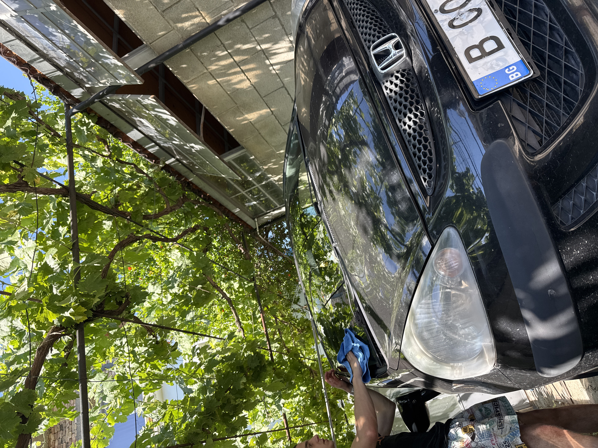 In Topoli, Bulgaria, a person is washing the windshield of a black car under a leafy green canopy. The car is positioned outdoors, near a building constructed of concrete blocks. The person is using a blue cloth to clean the windshield. The scene is illuminated by natural daylight, casting shadows from the foliage onto the car and surrounding structures. The car's license plate is visible, displaying the characters "BG C 00".