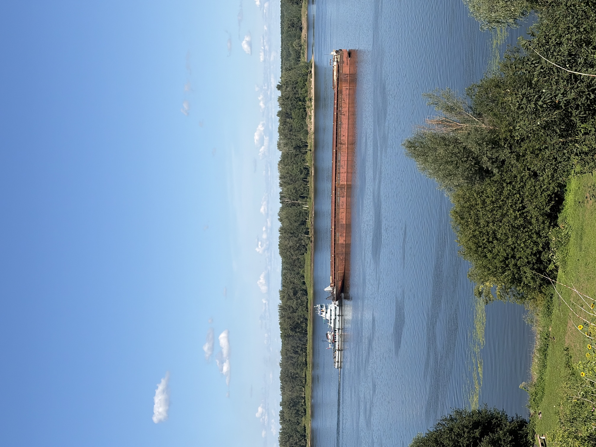 A wide, calm river flows under a bright blue sky with scattered white clouds. In the middle of the river, a white and blue tugboat tows a long, rusty-red barge. The barge is much larger than the tugboat and appears to be laden with cargo, though the contents are not visible. The riverbanks are lined with a dense, dark green forest. In the foreground, a grassy slope is dotted with trees and some yellow flowers. The overall scene is tranquil and natural, suggesting a rural or semi-rural setting. The location is identified as the city of Olkhovka, Russia.