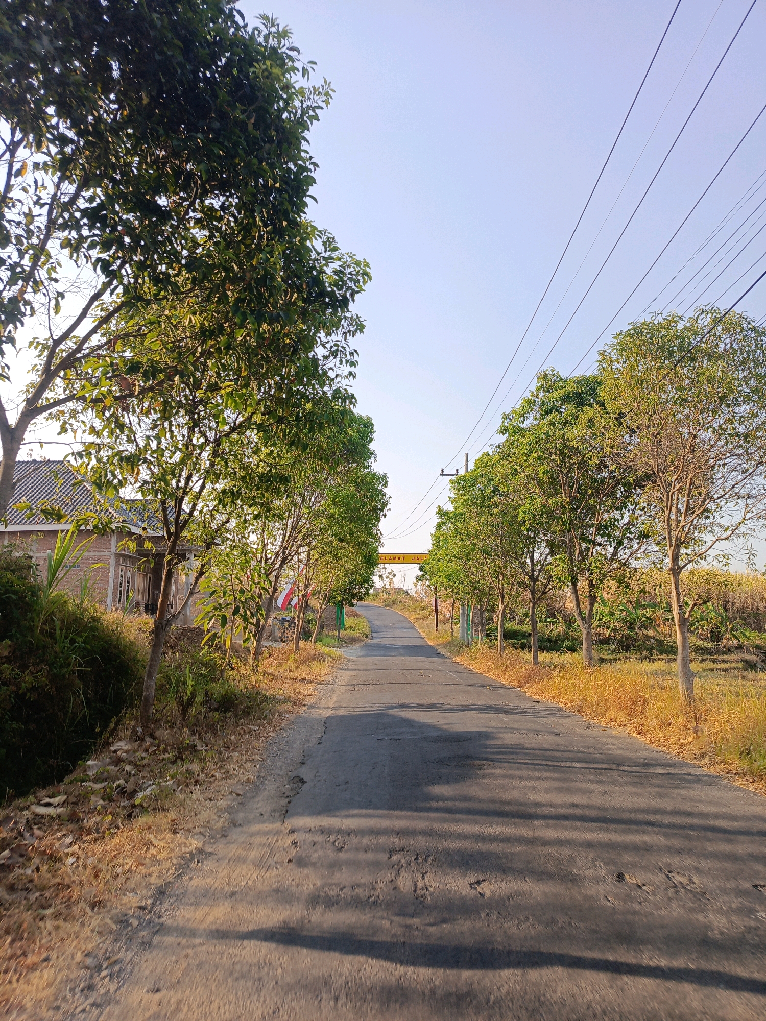 The image depicts a paved road in Ringinagung, Indonesia, lined with trees on both sides. The road is mostly empty, with shadows cast across it from the trees, indicating it is likely late afternoon. On the left side of the road, there is a house with a tiled roof, and a small hill with vegetation. On the right side, there is a field of dry grass and some banana trees. Overhead, power lines run diagonally across the sky. In the distance, a yellow archway with text is visible across the road. The sky is clear and blue.