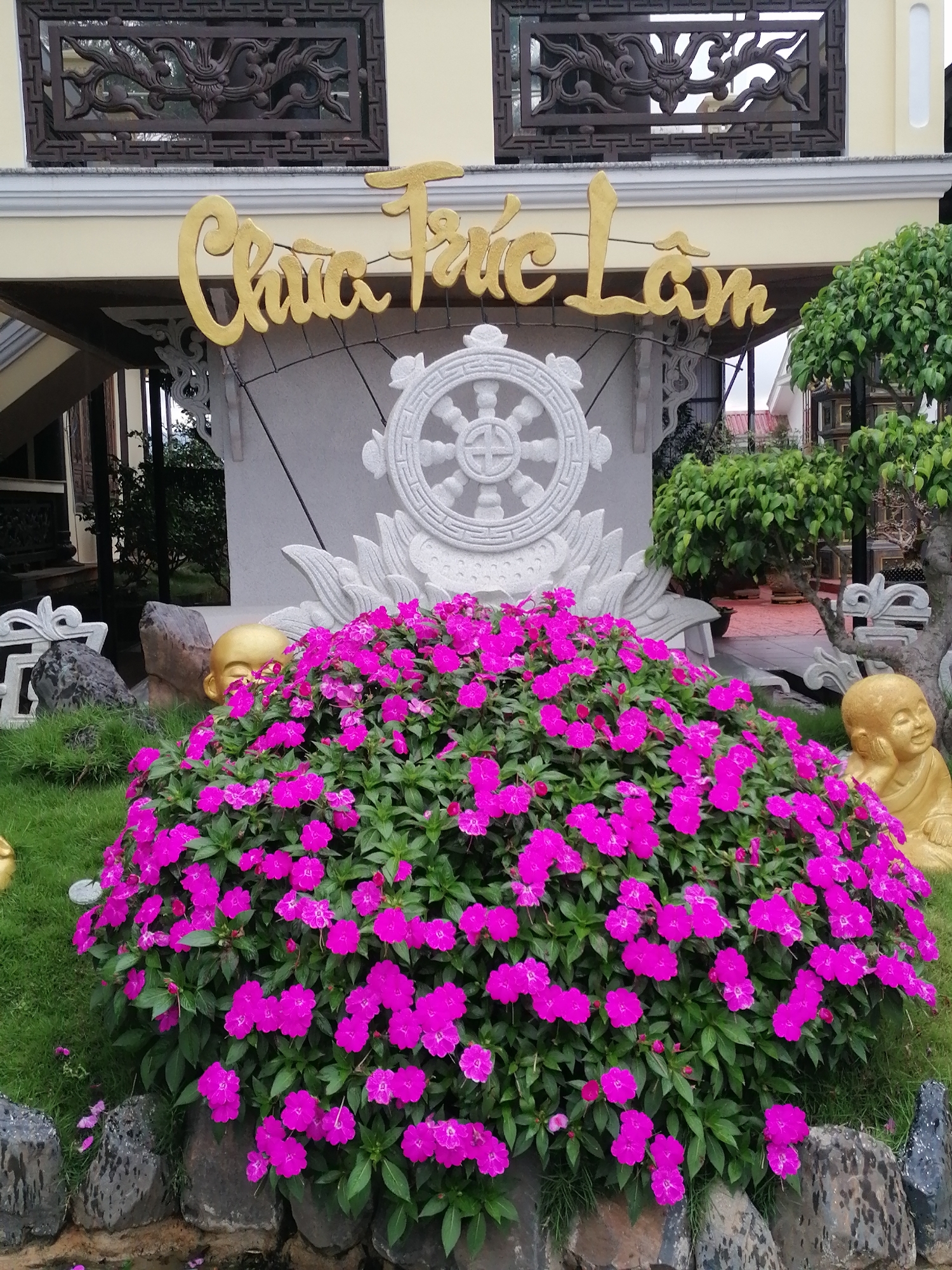 The image depicts the entrance of the Truc Lam Zen Monastery in Da Lat, Vietnam. The foreground is dominated by a large bush of vibrant pink flowers, with lush green foliage. To the right of the flowers, a golden statue of a young monk sits in a contemplative pose, resting its head on its hand. Behind the flowers and to the left, another golden statue of a young monk is partially visible, peeking out from behind rocks and grass.
In the background, a large, white, circular stone carving, resembling a Dharma wheel, is prominently displayed. This carving is flanked by white stone decorative elements that appear to be wings or dragon-like motifs. Above the Dharma wheel, a large, gold-colored script spells out "Chúc Tết Lâm". The building behind the signage is a light yellow color and features ornate dark brown metalwork with intricate patterns above the entrance. To the right of the building and signage, a well-manicured green tree stands tall. The overall scene suggests a serene and spiritual atmosphere, characteristic of a Buddhist monastery.