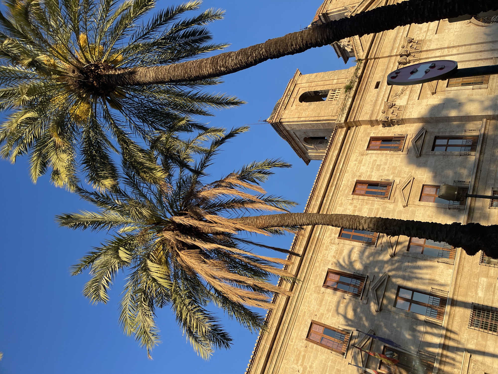 The image captures a low-angle perspective of a building in València, Spain, framed by two palm trees. The building is light-colored with multiple windows and decorative architectural details. The sky is a clear, vibrant blue. The palm trees are positioned on either side of the building, partially obscuring it and casting shadows on its facade. A sign is visible on the side of the building.