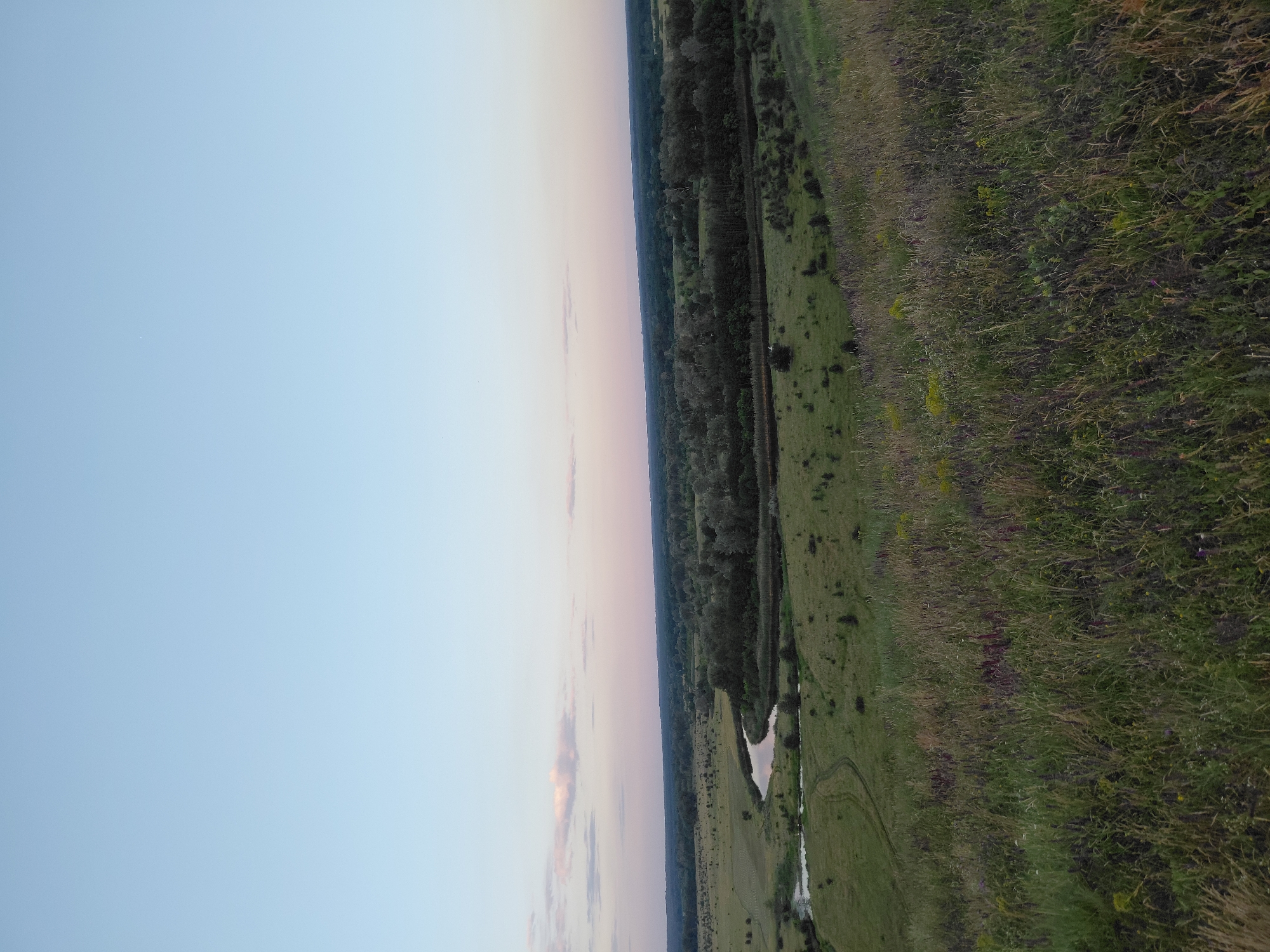 The image depicts a panoramic view of a rural landscape at dusk, likely within the vicinity of Ustyvytsia, Ukraine. The foreground is dominated by a grassy hillside covered in various types of vegetation, including tall grasses and wildflowers in shades of green, yellow, and purple. A faint dirt path winds its way down the slope.
Further down, a river snakes through a verdant valley. The riverbanks are lined with reeds and trees. Beyond the river, a dense forest stretches across the horizon, with the trees appearing dark and lush. The sky above is a soft gradient of light blue at the top, transitioning to pale pink and lavender near the horizon, indicating either sunrise or sunset. A few wispy clouds are scattered across the sky, tinted with pink hues. The overall impression is one of a peaceful and natural setting at the end of the day. There are no people or man-made structures visible in the image, except for what appears to be a very faint and distant linear structure on the far horizon.