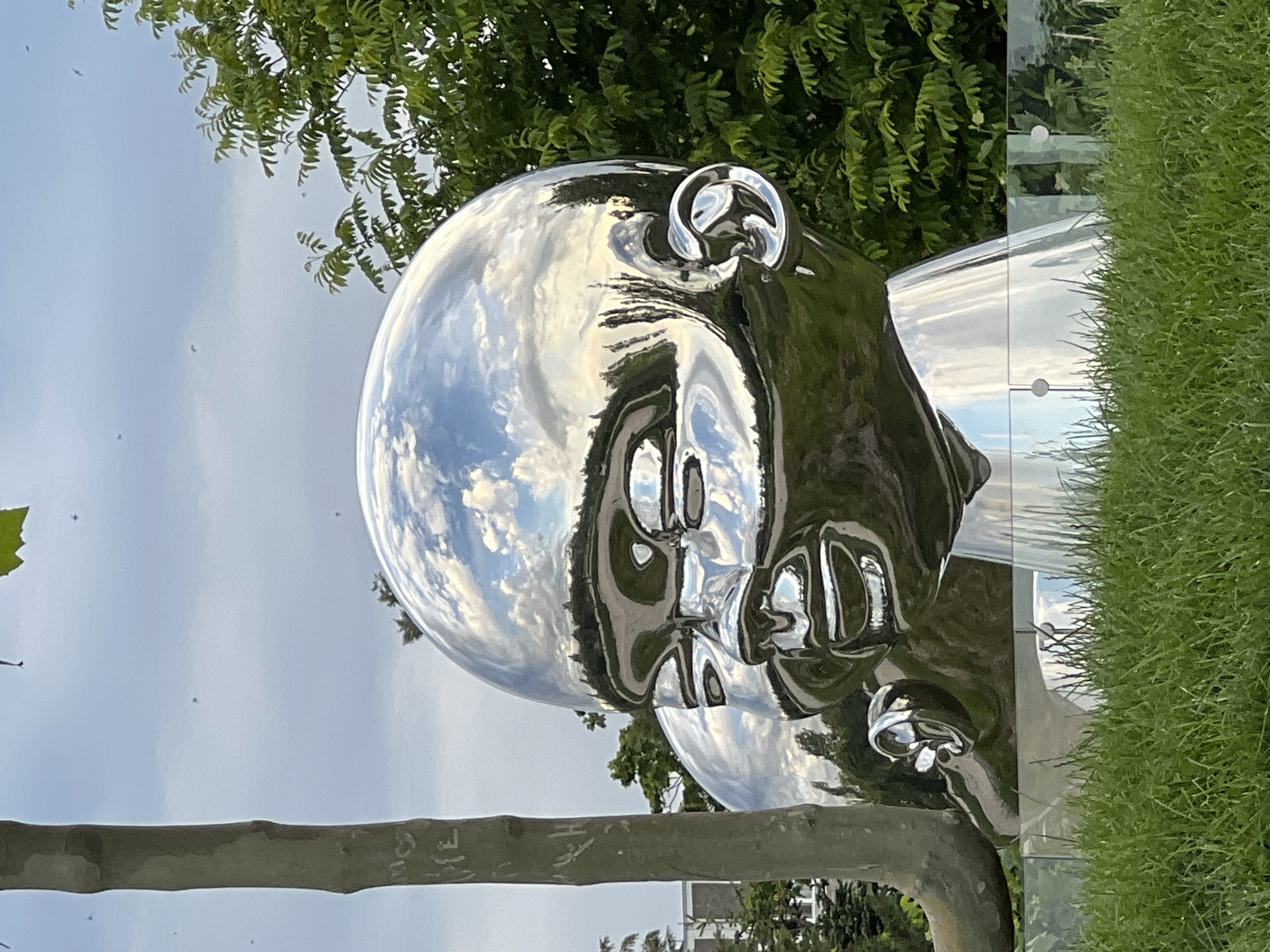 The image displays a large, highly reflective, polished metallic sculpture of a human head, designed to resemble a baby or young child, situated in an outdoor environment. The sculpture's surface acts as a mirror, intensely reflecting its surroundings.
On the rounded upper part and face of the head, a bright blue sky with distinct white cumulus clouds is clearly reflected. Green foliage, consisting of dense tree canopies and bushes, is reflected on the sides and lower sections of the sculpture. A clear, vertical glass barrier or wall is reflected horizontally across the lower mid-section of the sculpture, creating a sharp line where the reflections transition from foliage to ground.
In the actual background, lush green tree leaves are visible against the sky in the upper left quadrant. The sky is bright and partly cloudy. To the right of the sculpture, a vibrant line of green grass or a low hedge runs horizontally. On the far left, a vertical tree trunk or wooden post stands, bearing some faintly carved letters, including segments that resemble "HA", "IE" or "VE", and "OU". Several tiny dark specks, possibly birds or insects, are scattered across the sky.
The scene portrays a serene daytime setting, likely mid-morning or afternoon, under clear to partly cloudy skies. The presence of trees, grass, and a public sculpture suggests a park or similar green space. The provided location context for this media file is Krasnodar, Russia.