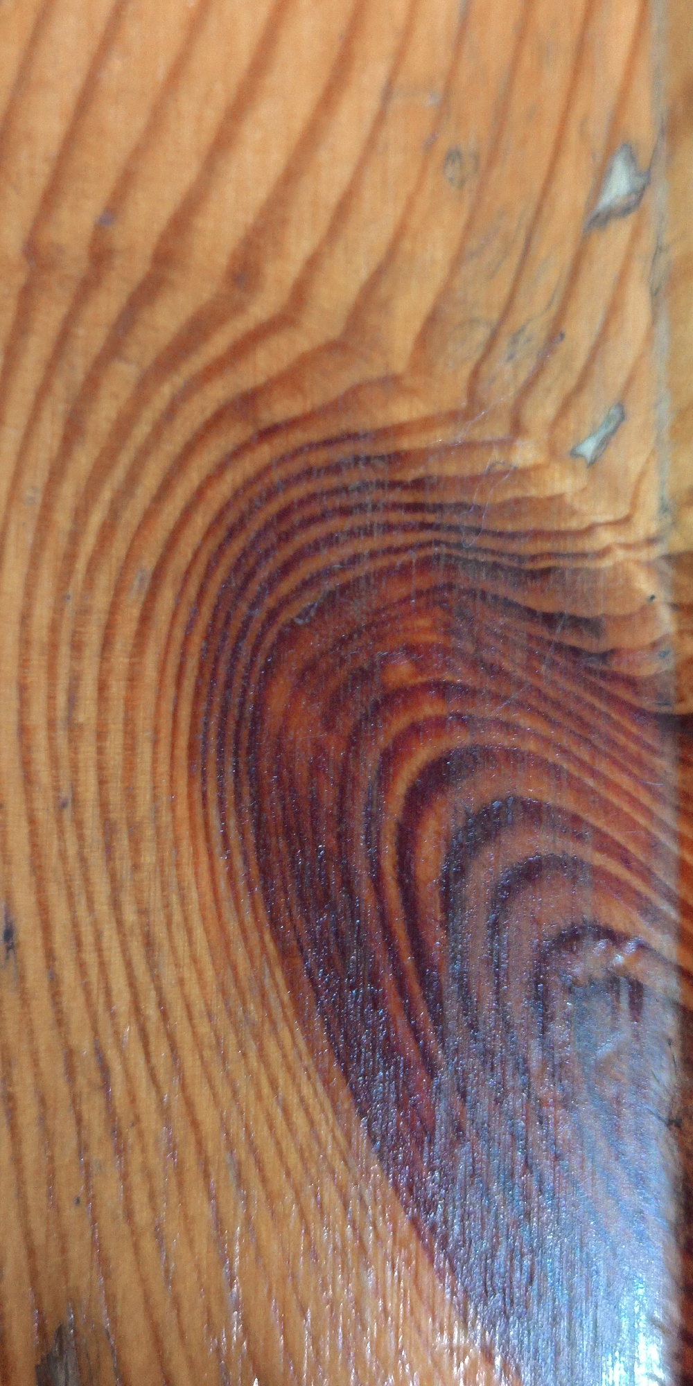 This image shows a close-up view of a varnished wooden surface with prominent grain patterns. The wood is a warm, light brown color with darker reddish-brown areas forming concentric, curved lines that suggest growth rings. Some areas show a high sheen from the varnish, reflecting light. There are a few small, irregular darker spots or imperfections on the surface. The texture is smooth and polished. The image is an abstract representation of wood grain, with no discernible objects, people, or environmental context that would place it in a specific city or location.