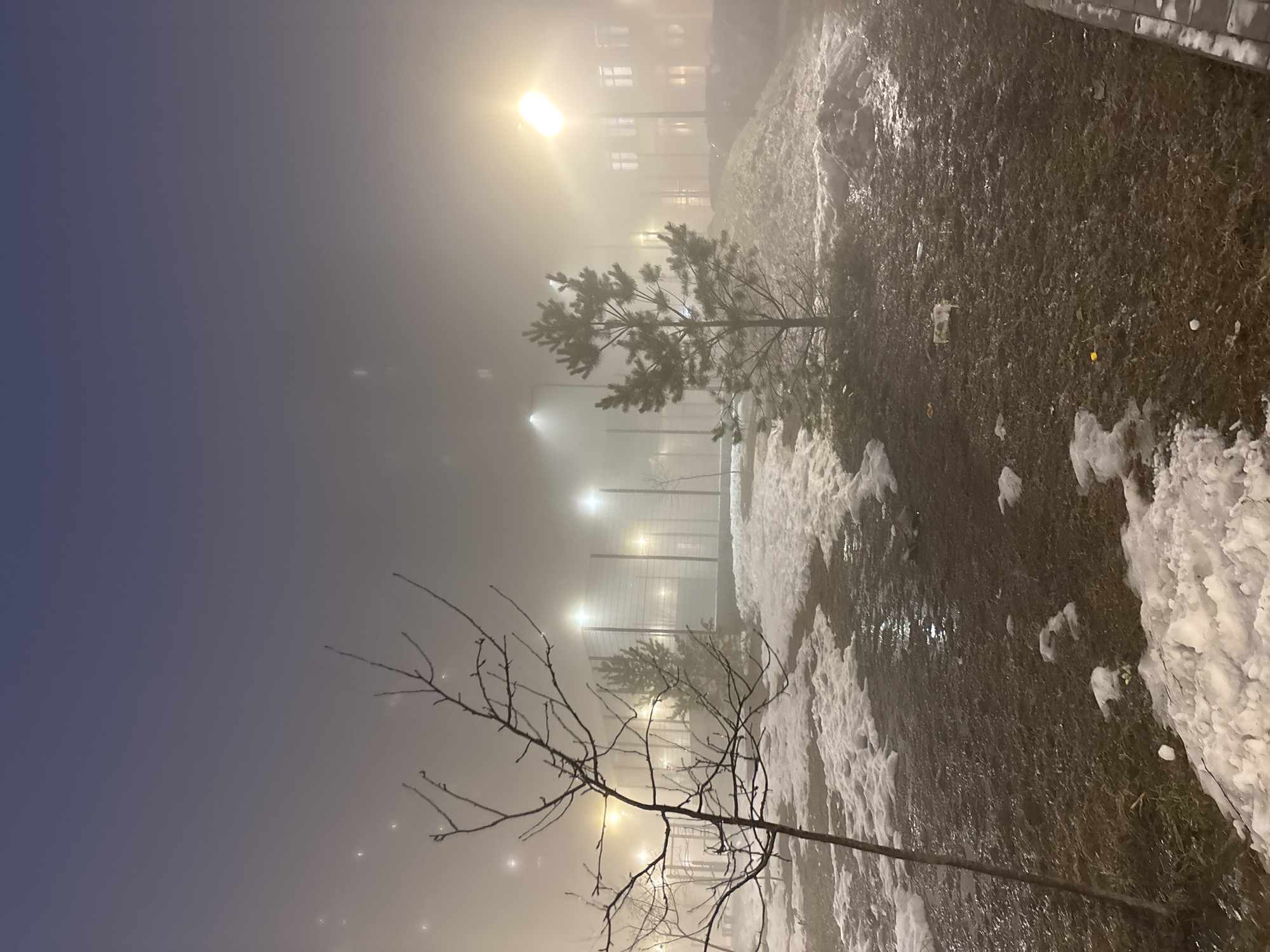 The image depicts a foggy night scene in what appears to be a residential area of Izhevsk, Russia. The time is night. A building with illuminated windows is visible in the background, obscured by heavy fog. In the foreground, there are two trees, one a bare tree with visible branches and the other is an evergreen. Patches of snow are visible on the ground. Several street lamps illuminate the scene, casting a yellowish glow through the fog. A fence is visible further in the background. The ground appears to be covered with grass and snow.