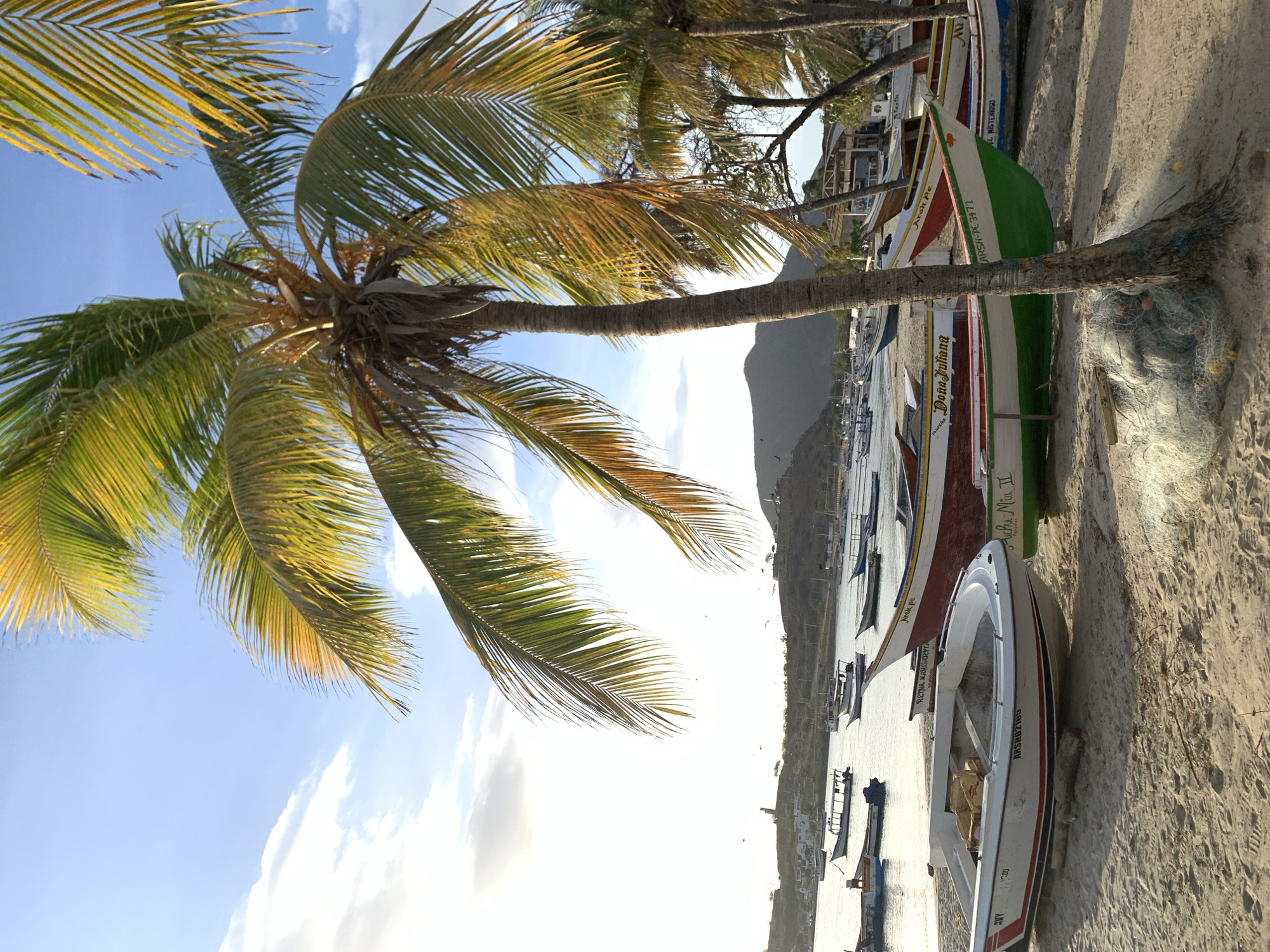 A vertical, eye-level, medium shot captures a beach scene in Juan Griego, Venezuela, on a bright, overcast day with the sun partially obscured by clouds. The foreground is dominated by a sandy beach where several small, colorful fishing boats are pulled ashore. One prominent white boat in the lower left foreground has red and blue stripes along its hull, with visible lettering on its side. A pile of fishing nets rests near the base of a palm tree that extends vertically through the center of the frame, its fronds catching the golden light of the setting sun.
Behind the boats, a calm body of water stretches to the horizon, dotted with more boats of varying sizes, some anchored and some appearing to be in motion. In the middle ground, a coastal town with buildings and structures is visible, nestled against rolling hills. A tall, slender lighthouse stands on a hill overlooking the town and the bay, a distinctive landmark. The background features hazy mountains and a partly cloudy sky, with the overall lighting suggesting late afternoon or early evening. The scene evokes a sense of tranquility and a typical day in a coastal Venezuelan fishing community.