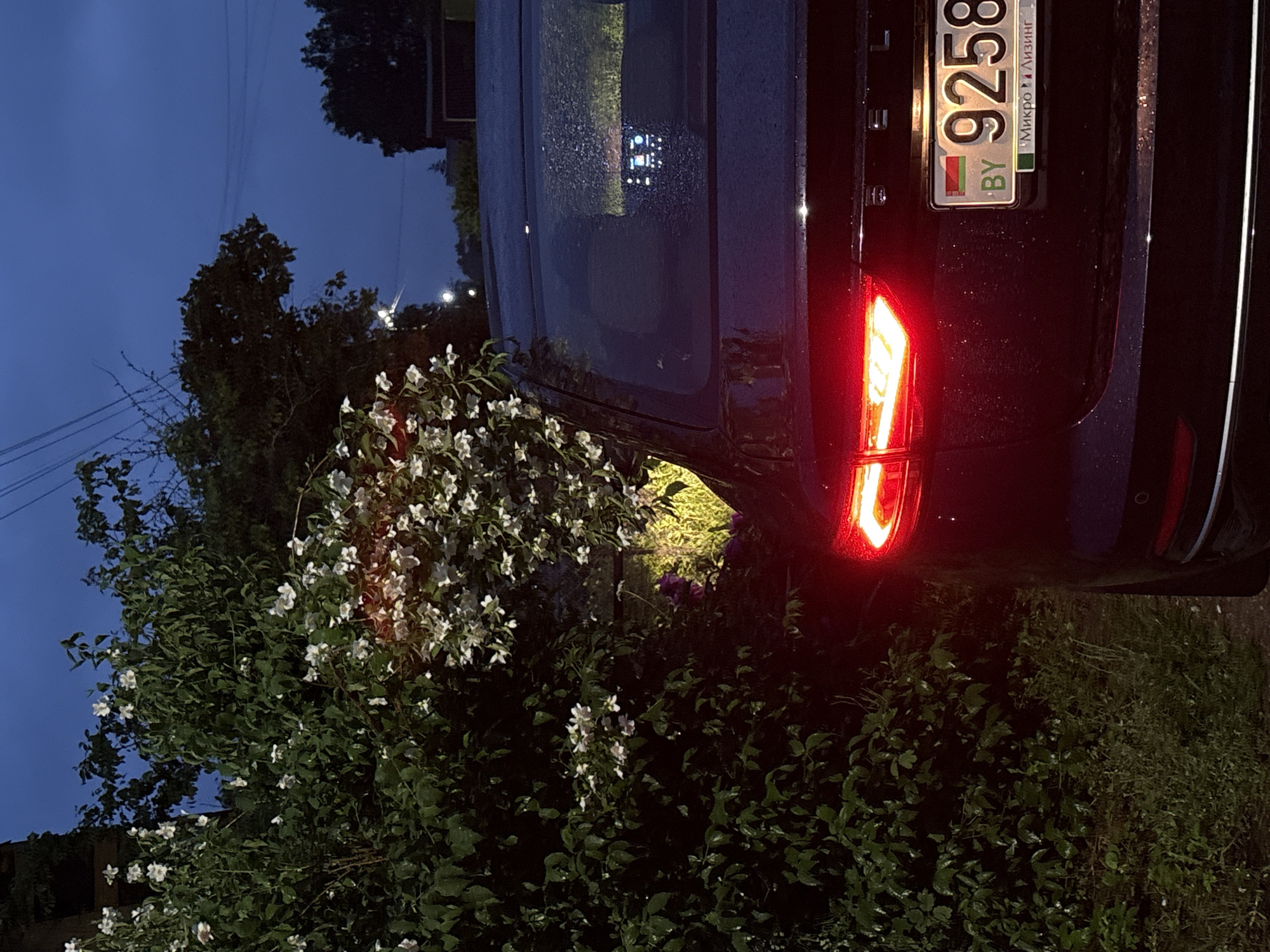 In the twilight of Пярэжырскі сельскі Савет, Belarus, a dark sedan is parked adjacent to a dense bush adorned with white flowers. The car's taillights glow red, illuminating the immediate surroundings. The license plate, featuring "BY" and the numbers "9258," is clearly visible. The car's rear window reflects a screen with a user interface. The environment is rural, with hints of distant buildings and overhead power lines visible against the darkening blue sky. The ground appears to be a dirt path, and the foliage suggests a natural, unmanicured setting.