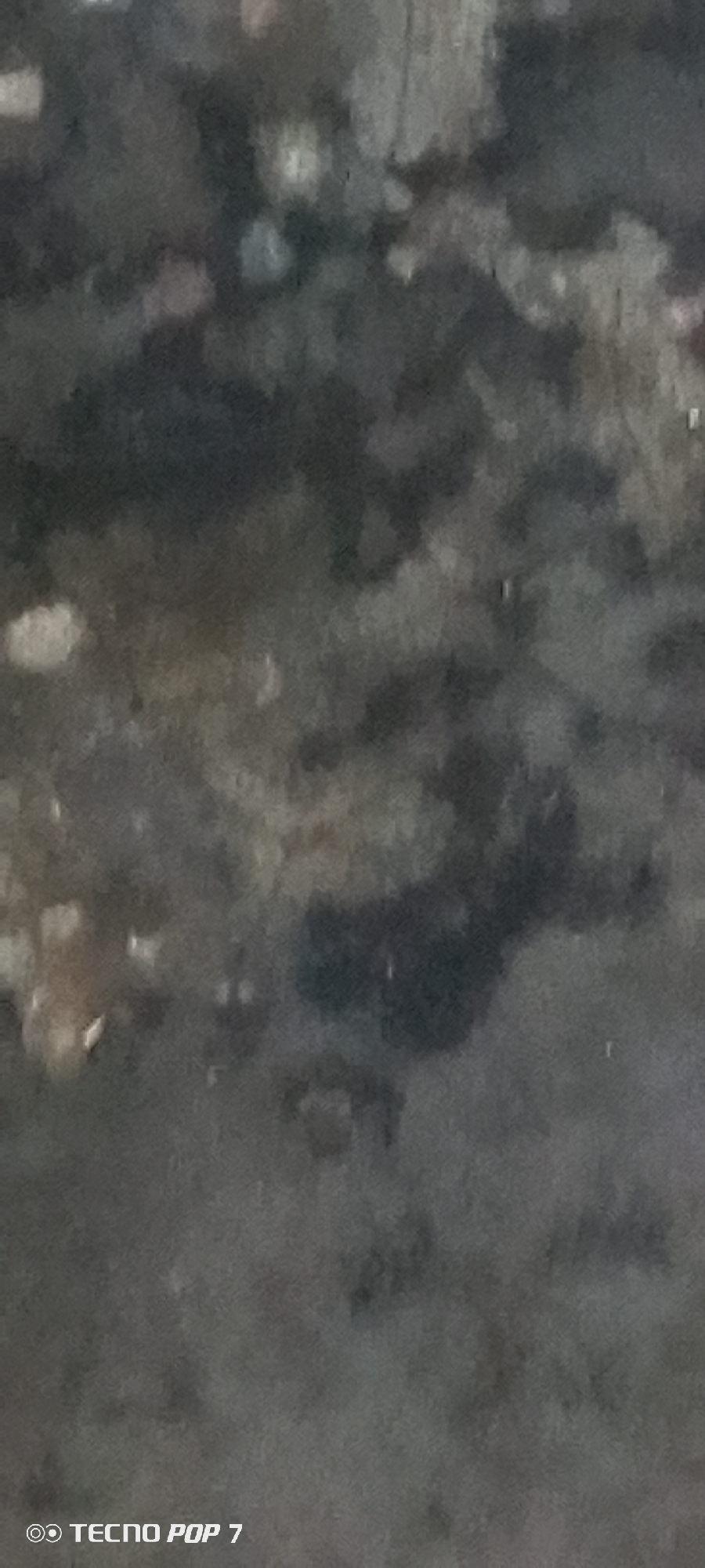 The image is a close-up, vertically oriented, blurry photograph of a textured surface. The surface appears to be a dark, mottled material with lighter speckles and patches scattered throughout. Some of the lighter areas are oval or irregularly shaped and suggest reflections or lighter colored debris embedded in the surface. The overall impression is of a rough, possibly weathered or dirty surface, with a mix of dark grays, blacks, and some lighter beige or white tones. The bottom of the image contains a watermark that reads "TECNO POP 7". There are no people, specific objects, or clear environmental features visible to determine a location in Altagracia, Venezuela.