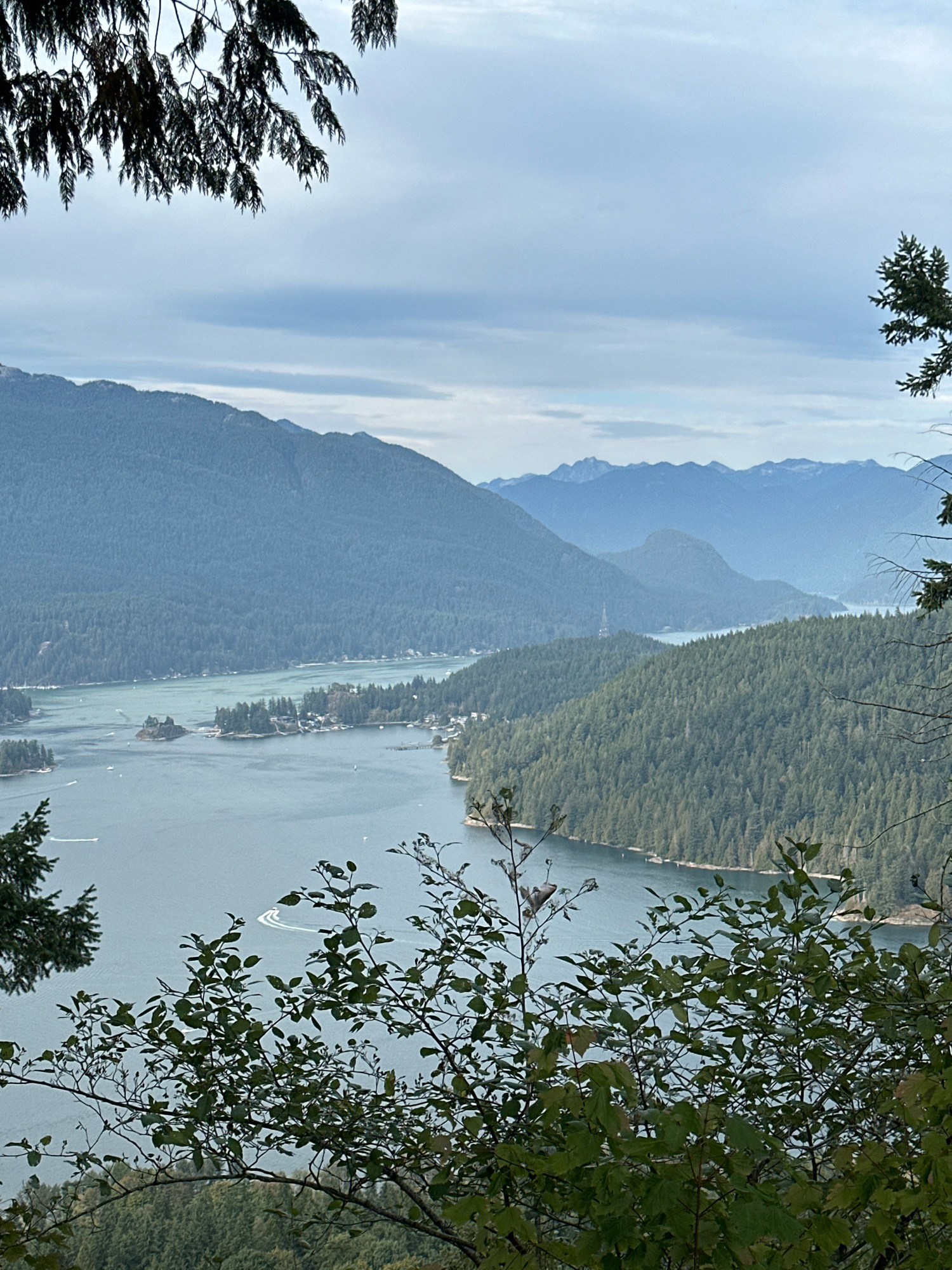The image captures a panoramic view of a large body of water, likely a lake or inlet, surrounded by lush, tree-covered mountains. In the foreground, branches of deciduous trees with green leaves frame the scene. The water is a deep blue-gray, with several white wakes indicating the presence of boats.
The middle ground reveals the shoreline, densely populated with evergreen trees, interspersed with some buildings and structures, suggesting a residential or recreational area. A small island with trees and some structures is visible in the water on the left side. Further in the distance, layers of mountains fade into a hazy blue, with the sky a pale gray with some cloud cover. A faint outline of what appears to be a tower or communication structure can be seen on one of the distant mountains.
This view is consistent with viewpoints from the heights around Burnaby Mountain in Burnaby, Canada, looking towards the Burrard Inlet and the surrounding mountainous terrain. There are no clearly identifiable people in the image, and the focus is on the natural landscape and the waterway. The overall impression is one of a serene, expansive natural environment.