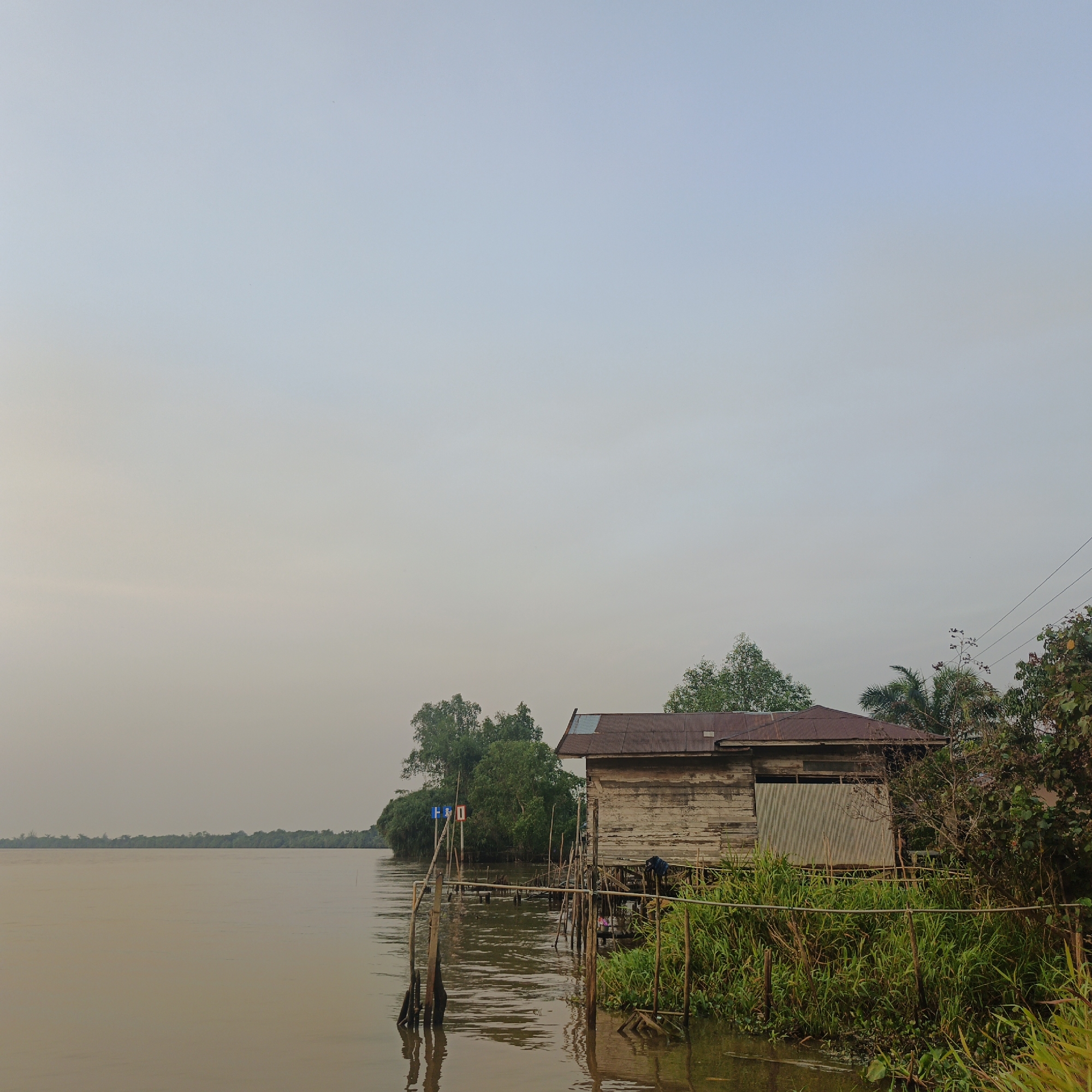The image depicts a waterfront scene in Sungai Rasau, Indonesia. A weathered, wooden stilt house with a corrugated metal roof sits on the right side of the frame, partially obscured by lush green vegetation. The house appears to be elevated over the muddy water. In front of the house, wooden posts and a railing extend into the water. A few smaller structures or supports are also visible near the house. On the left side of the image, the wide, murky river stretches towards a distant, tree-lined horizon. The sky is overcast, with a soft, diffused light. Several wooden posts with signs are planted in the water near the left bank, possibly marking channels or boundaries. The overall impression is one of a rural, waterfront community. There are no people visible in the image.