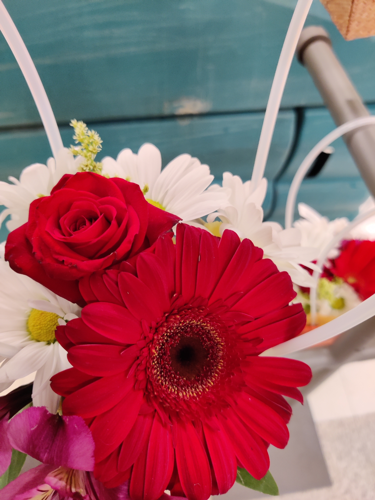 A close-up, slightly angled shot shows a vibrant floral arrangement in Mechanicsburg, United States of America. The bouquet prominently features a large, deep red Gerbera daisy with delicate yellow-tipped petals at its center. Partially behind it, a lush red rose with tightly wound petals is visible, its velvety texture evident. Interspersed are several white daisy-like flowers, their bright yellow centers peeking through. At the bottom left, hints of pinkish-purple petals, likely from alstroemeria, add another layer of color. The flowers are arranged with some light green foliage. The background consists of a teal-colored, weathered wooden surface, suggestive of a rustic or nautical theme, with a blurry, metallic object and a light brown, textured item in the upper right corner. Two white, curved decorative elements, possibly part of a basket or stand, frame the bouquet. The lighting is soft, highlighting the rich colors and intricate details of the blossoms.