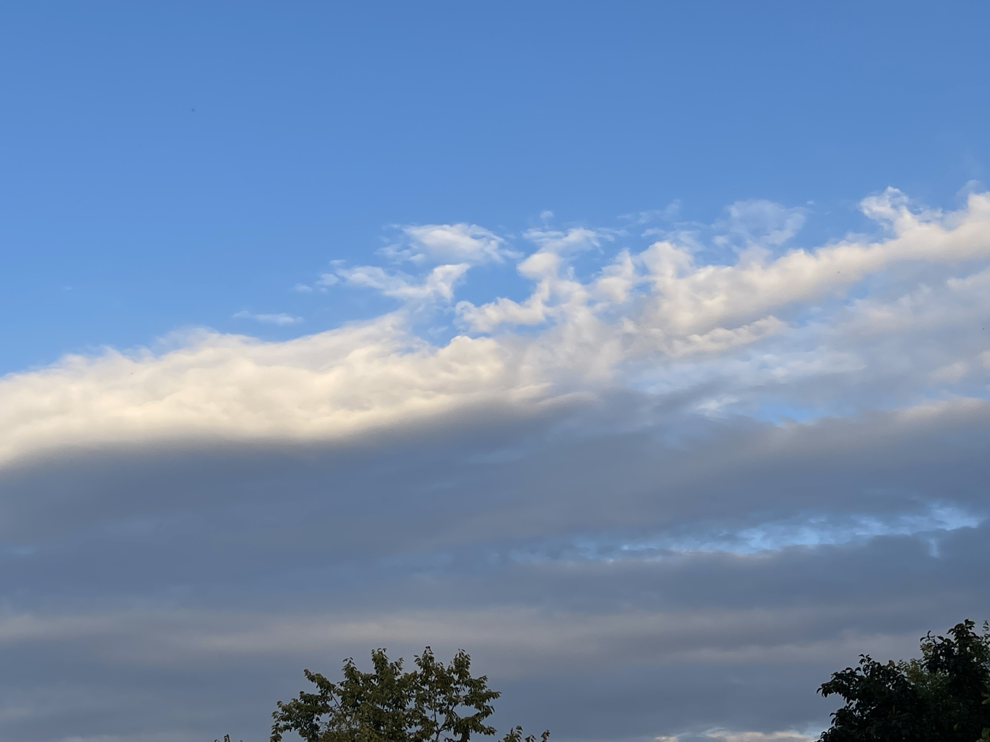 The image shows a sky with clouds and the tops of trees. The sky is a bright blue with scattered white clouds in the upper portion. Below these, there are darker, more diffused clouds, with a band of lighter blue sky visible between them. The lower part of the image shows the dark green foliage of two trees. The scene appears to be outdoors, likely in a natural setting or a park within the city of Sredny, Russia, judging by the presence of trees against a sky that suggests a time of day with ambient light suitable for outdoor visibility. There are no people or specific objects or actions discernible in the image.