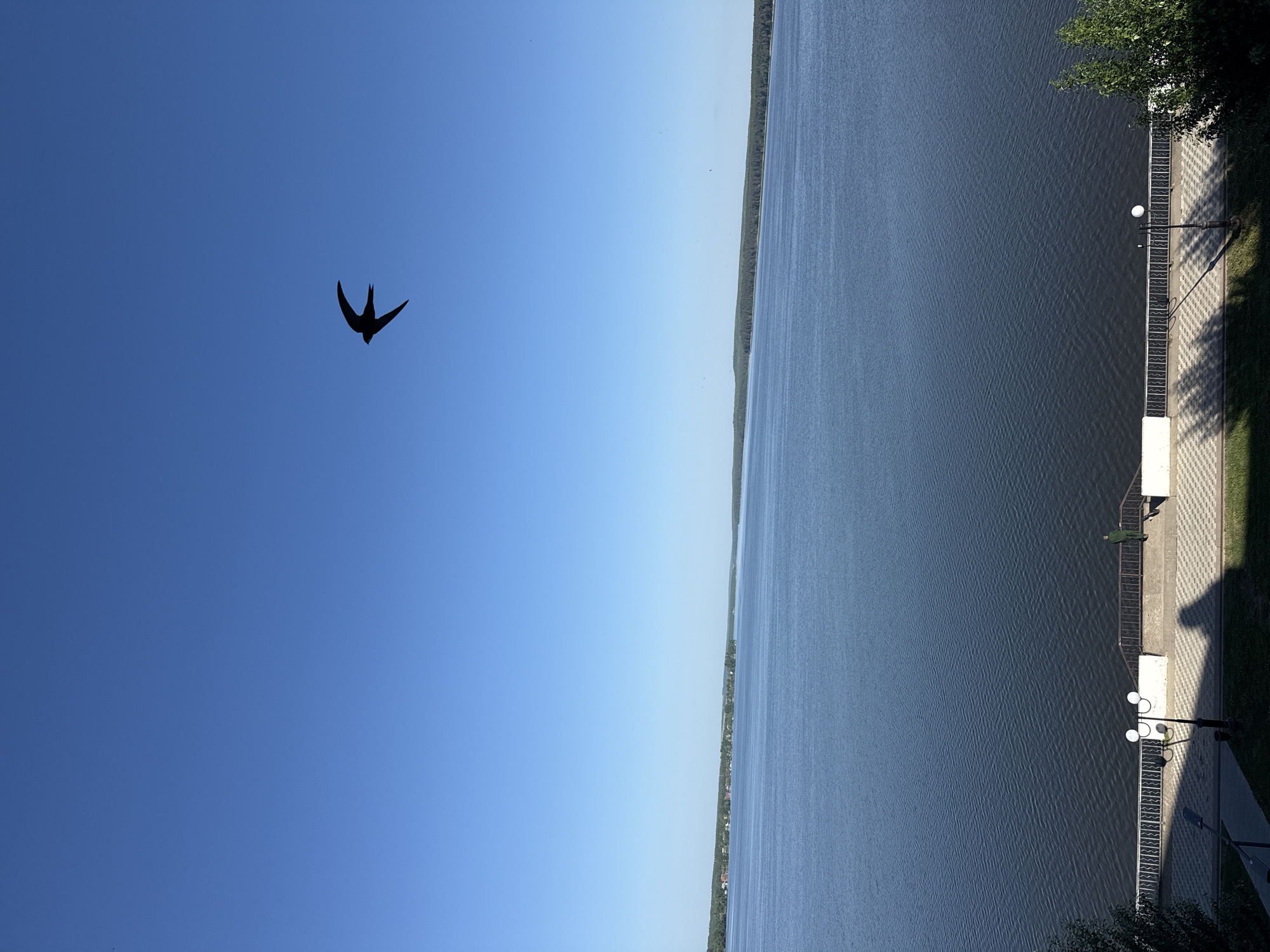 The image depicts a landscape with a large body of water, likely a river or lake, taking up about half of the frame on the right side. The water appears calm with slight ripples, and the shoreline is visible in the distance with a line of trees. The left half of the image is a clear, light blue sky with a single, dark silhouette of a bird flying in the upper left quadrant.
Along the water's edge on the right, there's a paved embankment with trees, streetlights, and a railing. The location is likely Votkinsk, Russia, given the typical landscape of the area along the Votkinsk Reservoir on the Kama River. There are no people visible in the image.