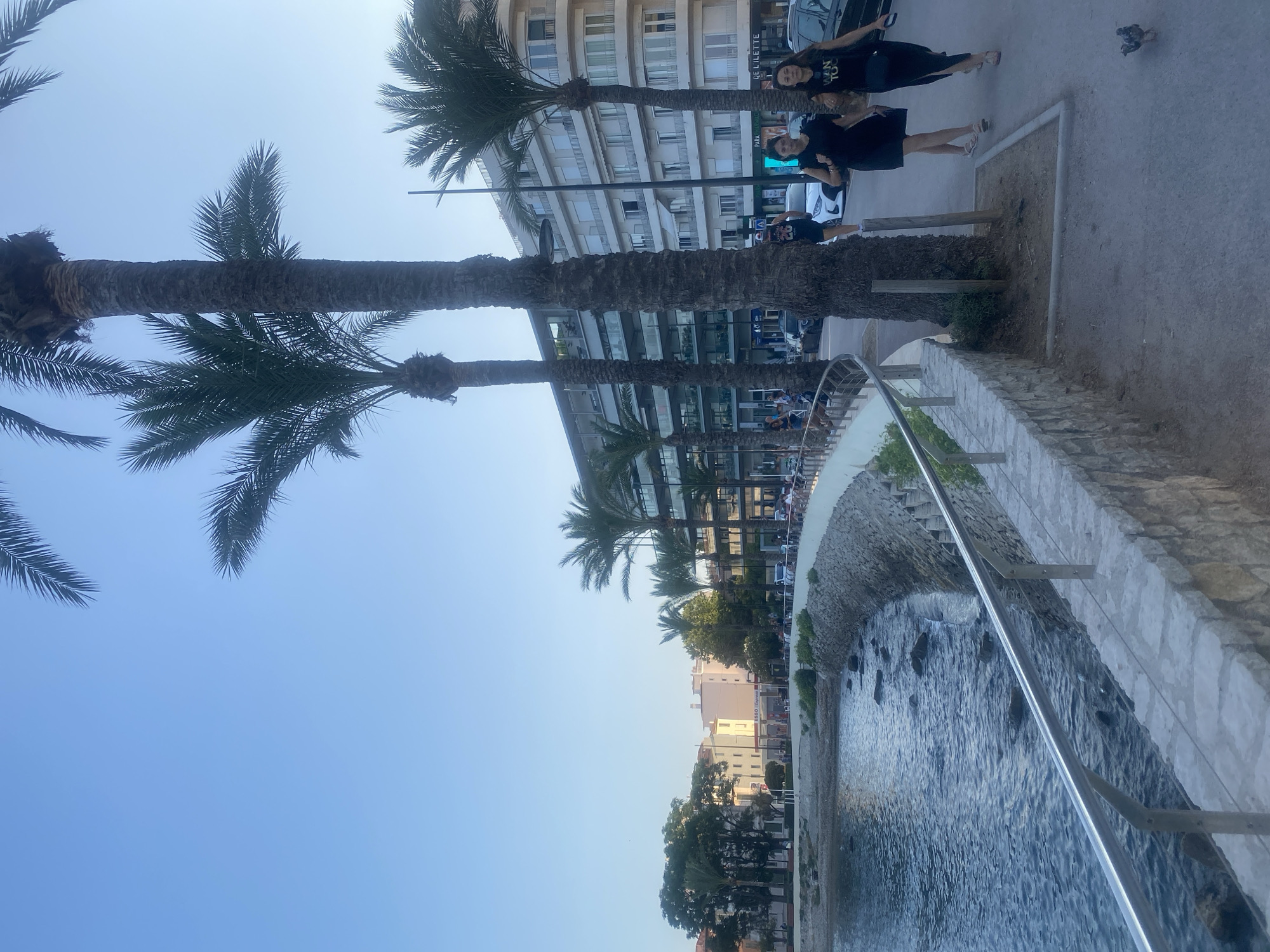 The image depicts a scene in Antibes, France, along the Promenade du Port. The foreground shows a paved walkway bordered by a stone wall and a metal railing, with the sea on the left. Two women are walking on the right side of the walkway, one wearing a black dress and the other a black top with a graphic print and black pants. A small bird is visible on the ground near them. Behind the walkway, palm trees line the path, and a modern building with multiple balconies and windows is situated further back. Shops are visible at the base of the building. The sky is clear and blue.