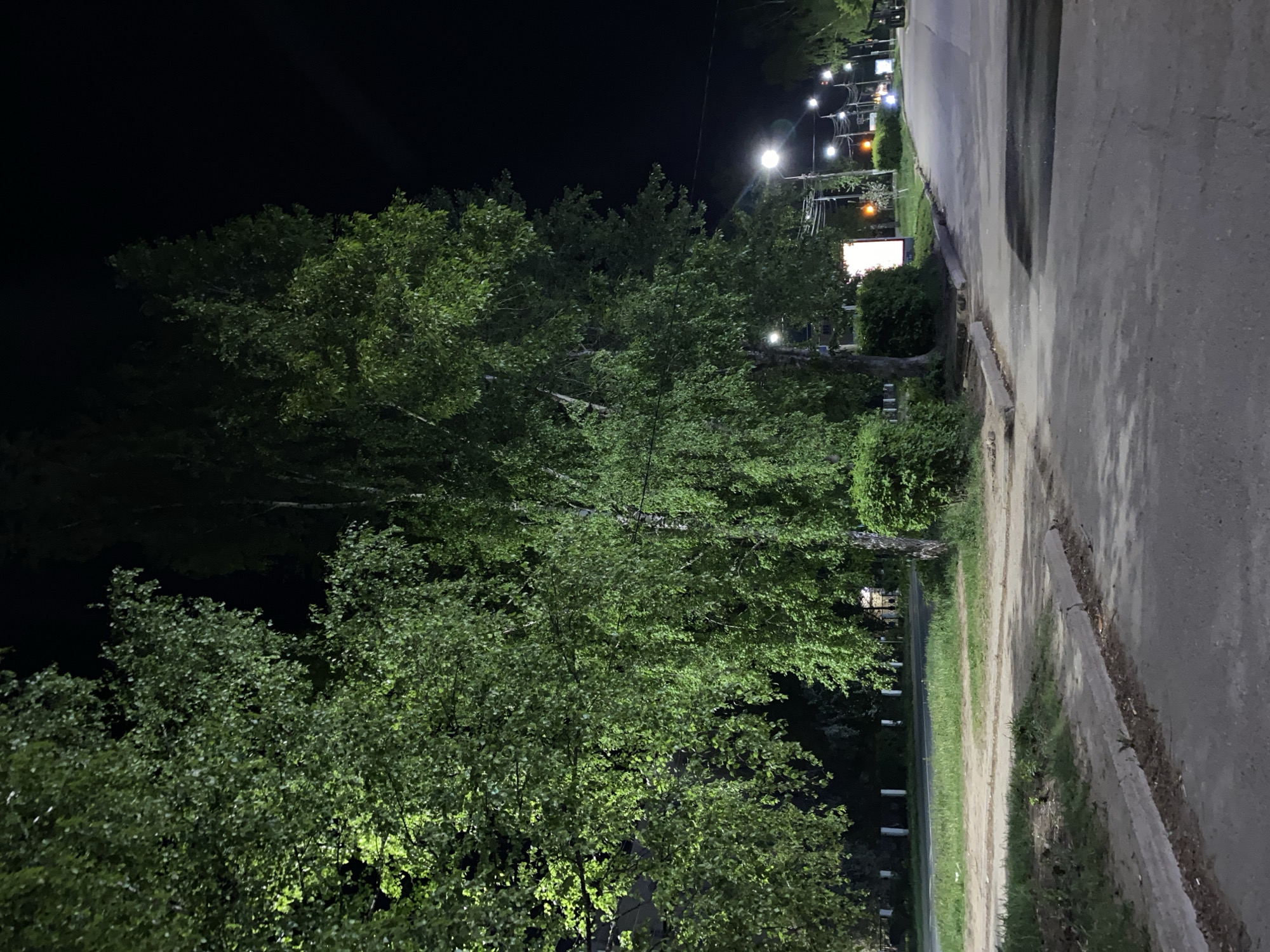 Captured at night in Chaikovsky, Russia, the scene portrays a roadside view. Lush, green trees dominate the left foreground, illuminated by streetlights. The right side shows a concrete sidewalk bordered by an asphalt road. In the distance, more streetlights line the road, and a bright sign can be seen. The overall environment is dark, with the artificial lighting highlighting the foliage and infrastructure.