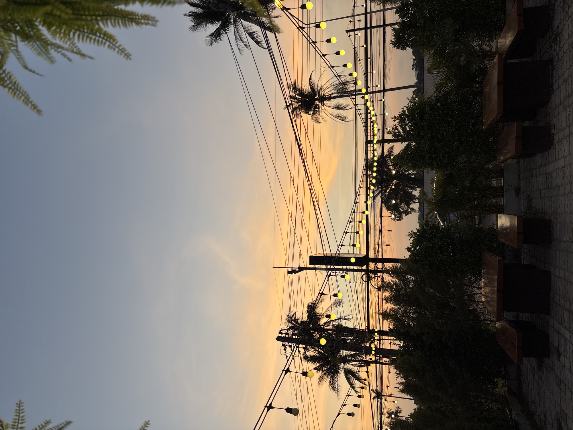 This vertical image, correctly oriented, depicts an outdoor scene at sunset or during the golden hour in Choeng Thale, Thailand. The sky, filling the upper left, displays a gradient of soft blue that transitions into warm, peachy orange and yellow tones towards the right horizon, indicating the time of day.
Prominently strung across the midground are multiple lines of yellow globe lights, which are illuminated and contribute significantly to the scene's ambiance. Silhouettes of several palm trees and dense, dark green foliage, possibly bushes or other trees, are scattered throughout the frame, particularly in the midground and foreground, creating depth against the luminous sky. Utility poles, laden with a complex network of crisscrossing wires, are also visible in the mid-right.
On the far right, a paved area, likely a patio or walkway, is visible. Along this path are dark, rectangular structures resembling outdoor benches or tables with wooden tops, suggesting a seating or dining area. A faint, dark line on the distant horizon behind the trees hints at a body of water or distant land.
The atmosphere conveyed is tranquil and inviting, with the warm hues of the sky and the glow of the string lights creating a sense of coziness. No individuals are visible, and no specific event is taking place, but the setting is conducive to evening relaxation or social gatherings. There is no visible text in the media file.