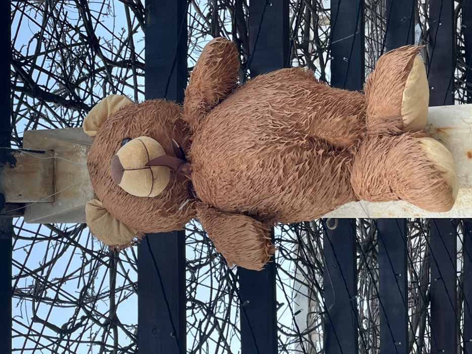 A large, brown, water-saturated teddy bear is suspended from a pale-colored vertical pole in Budva, Montenegro. The bear exhibits matted fur, a tan muzzle, dark stitched eyes, and a dark brown ribbon tied around its neck. A weathered, light-colored mounting bracket is visible above the bear on the pole. The background features a dark wooden lattice supporting a dense growth of intertwined, bare, leafless branches. Scattered white string lights are integrated within the branches and across the wooden structure. A clear, light blue sky is visible through the overhead network of branches.