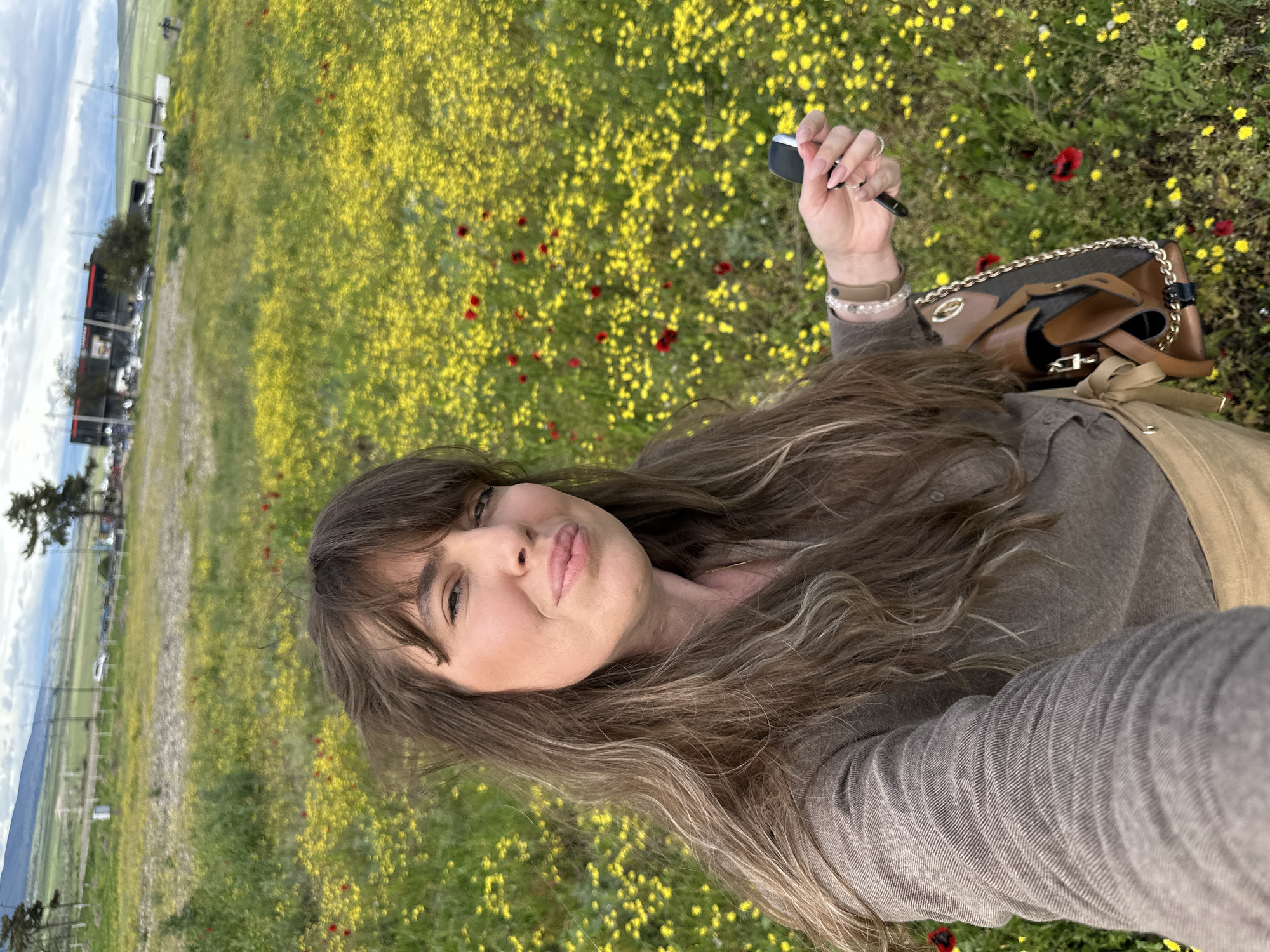 The image shows a woman in a field of yellow flowers with some red flowers. She is holding a car key. In the background, a road with parked cars can be seen, as well as mountains and the sky. Marneuli is not apparent in the image.