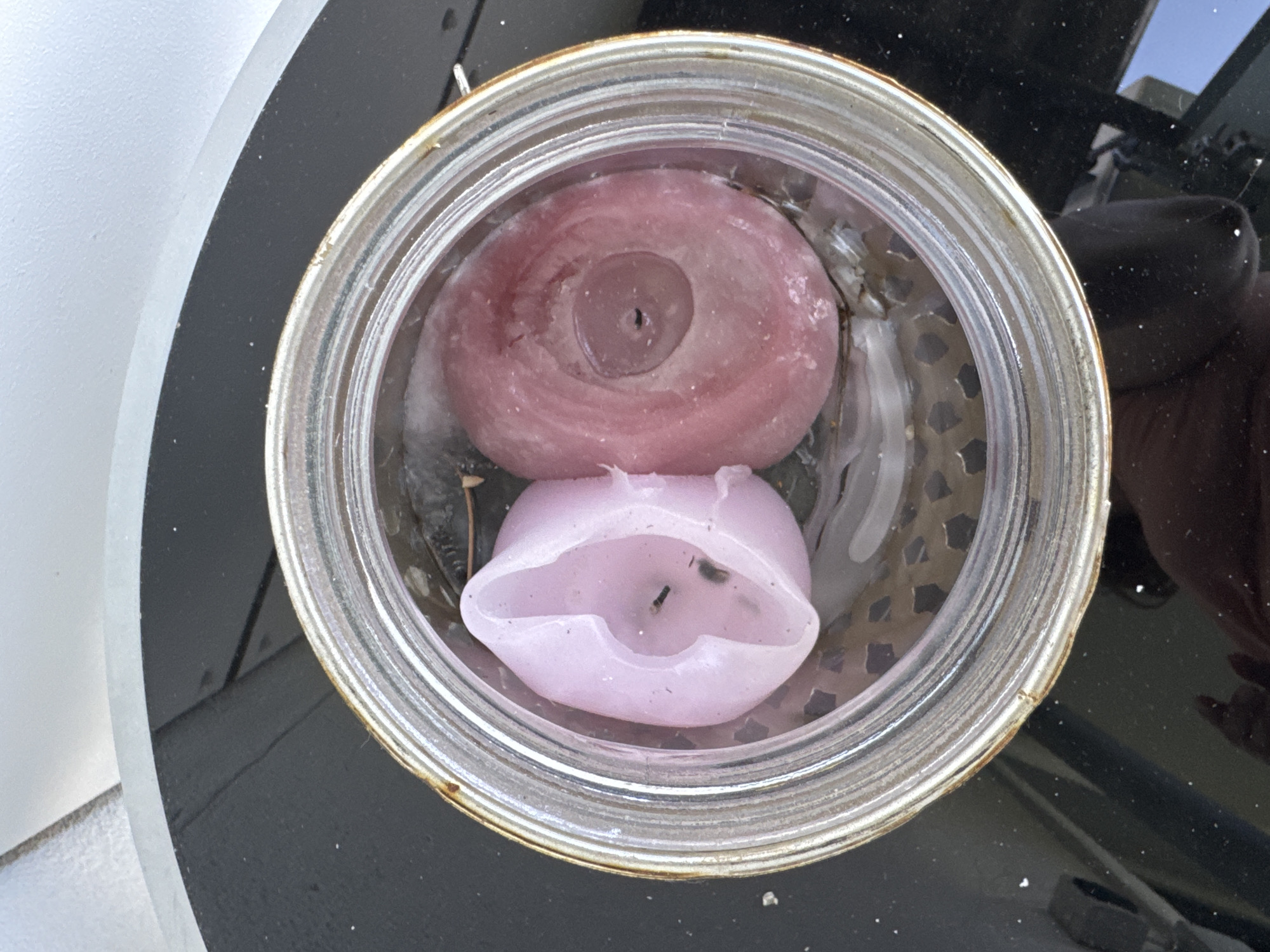 This media file shows a close-up, top-down view of two melted candles inside a glass jar. The jar appears to be a repurposed food can, with a metallic rim that shows some signs of wear and rust.
The candle on top is larger and a deep pink or magenta color. It has a pronounced indentation in the center where the wick would have been, and the wax around it is unevenly melted, creating a swirling pattern. A small, dark hole marks the center of the wick area.
Below the pink candle is a smaller, pale lavender candle. This candle is also melted and has a more irregular, bowl-like shape. Its wick is clearly visible, appearing as a short, dark stub. The melted wax of this candle has formed a distinctly open, almost mouth-like shape.
The candles are submerged in what appears to be water or melted wax within the glass jar. The background is dark and reflective, suggesting the photo might have been taken outdoors or near a reflective surface. Hints of greenery or foliage can be seen reflected in the background, along with the reflection of a hand or arm holding the camera. The overall impression is one of discarded or used candles.
No text is visible in the image. The lighting suggests it is daytime, but no specific weather conditions can be determined. The setting appears to be an outdoor environment, possibly a garden or patio.