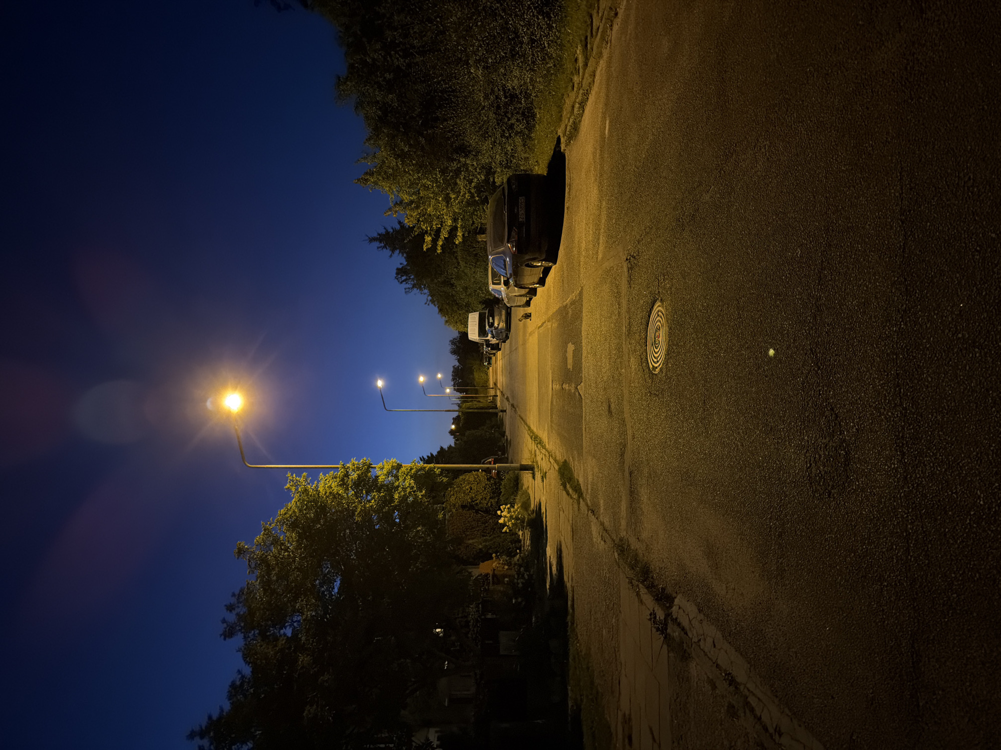 The image depicts a street scene at dusk or night in a residential area. A street light illuminates the asphalt road, which has a manhole cover visible. Several cars are parked along the right side of the road, and a cat is also present. Trees and bushes line the street on both sides, with houses visible on the left. The sky is a deep blue, indicating twilight or night. The scene is calm and quiet, suggesting a typical evening in a suburban neighborhood. The specific location in Szczecin, Poland, cannot be determined from the image alone.