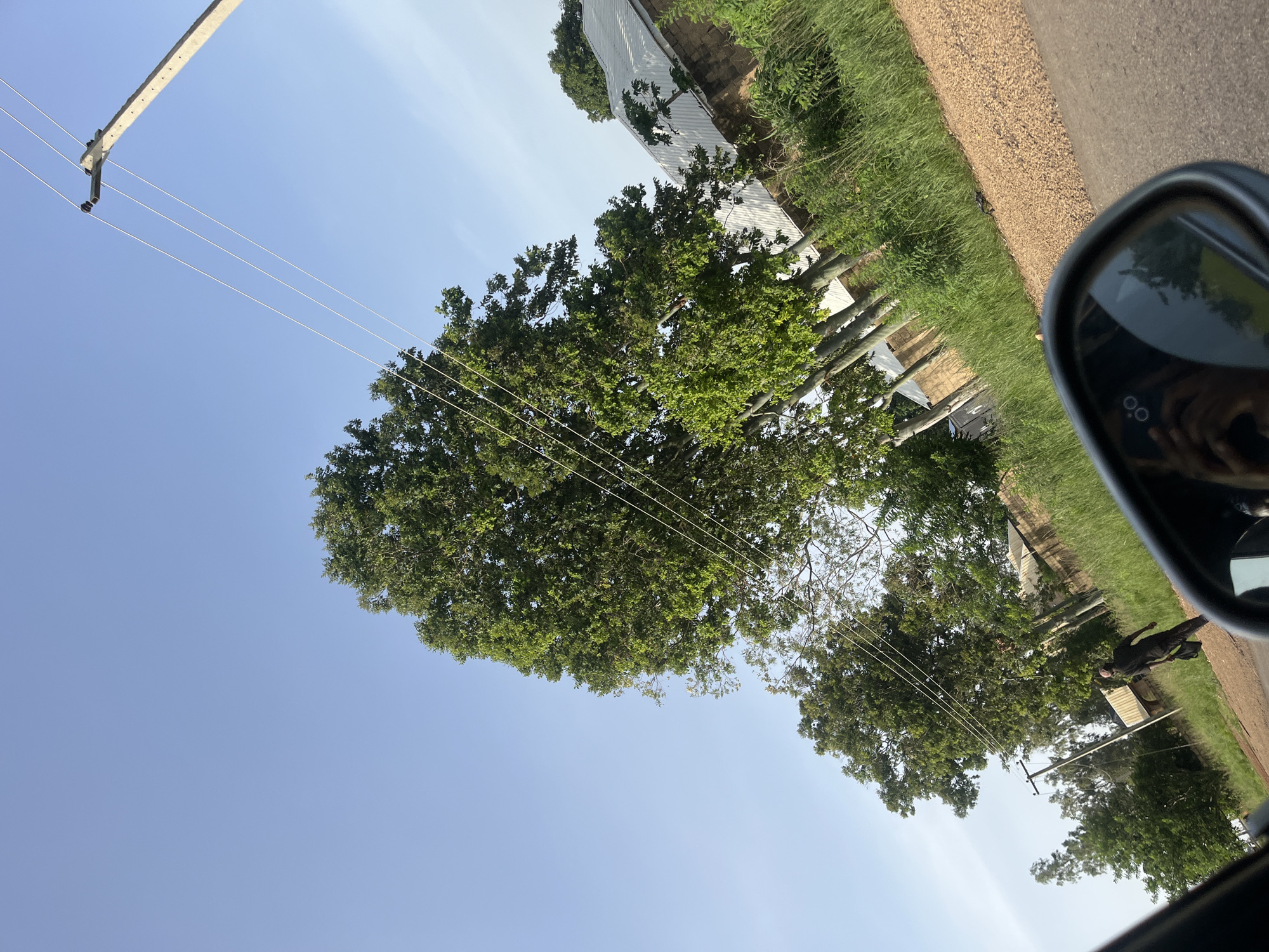 The image depicts a roadside scene in Ladura Foron, Nigeria, captured from the perspective of a vehicle's side mirror. The sky is a clear, pale blue, with a few wispy clouds. A tall, concrete utility pole with three horizontal wires is visible in the upper right portion of the frame, angled slightly to the left. Numerous lush green trees with dense foliage dominate the midground and background, some appearing tall and mature, others more slender and youthful. A single individual, dressed in dark clothing, walks along the gravel shoulder of a paved road in the mid-left of the image, carrying a dark bag. In the background, several buildings with corrugated metal roofs and brick walls are partially visible amidst the vegetation. The road itself is a dark asphalt surface, with a rough gravel shoulder to the right. The side mirror in the foreground reflects a portion of the vehicle's interior and the photographer's hand holding a smartphone. The overall impression is one of a rural or semi-urban environment bathed in natural light, likely during the daytime.