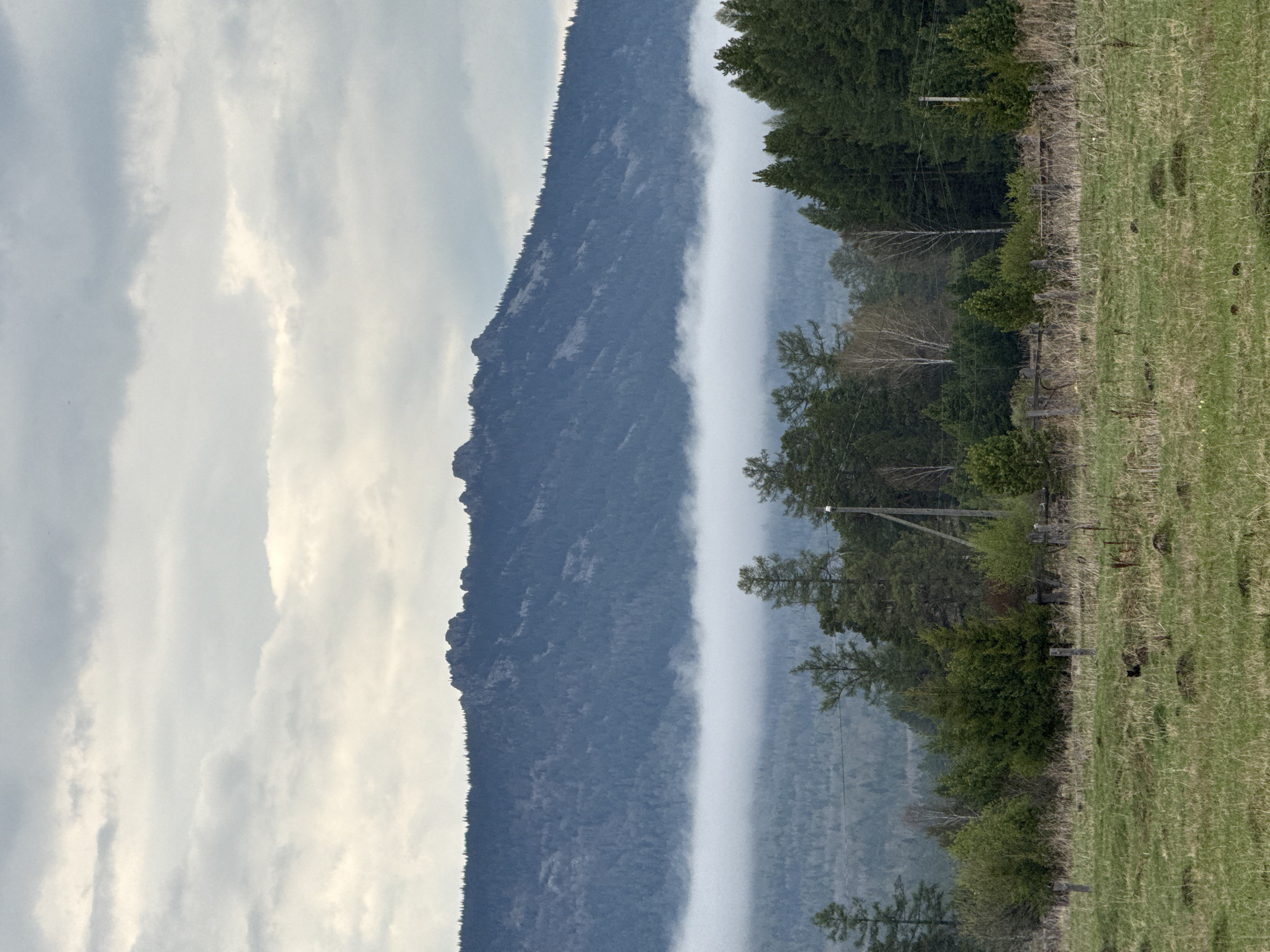 The image depicts a landscape near Tyulyuk, Russia, with a mountain ridge on the left and a grassy field on the right. A dense band of fog runs vertically through the center of the image, separating the mountain from the foreground. A line of trees and some power lines are visible between the fog and the field. The sky is overcast with grey and white clouds. The mountain is rocky and covered in trees. The field has some dark spots.