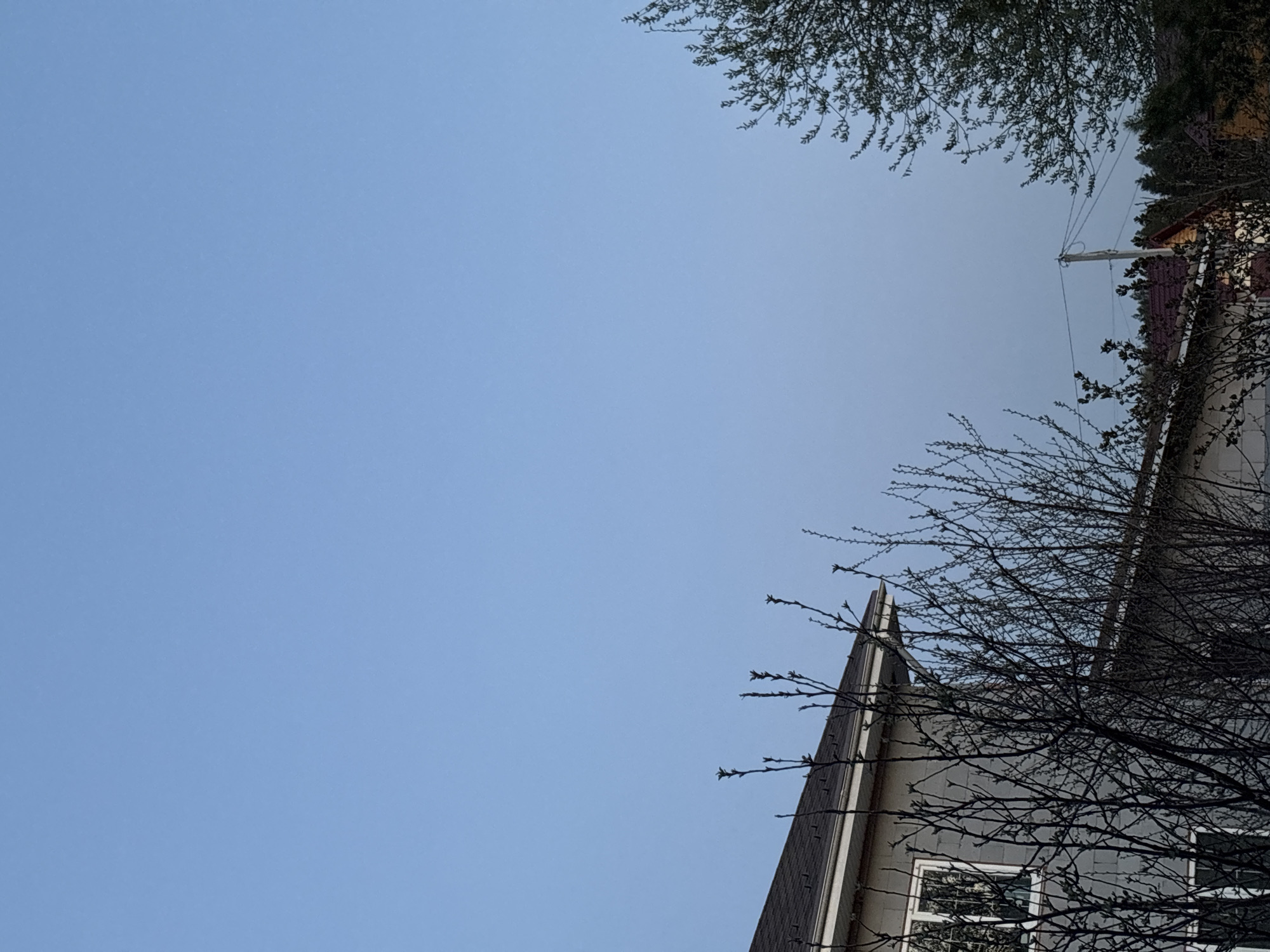 The image shows a low-angle view of a light blue sky. In the upper right and lower right, portions of buildings are visible, partially obscured by tree branches. The buildings appear to be residential. The branches are mostly bare, suggesting winter or early spring. A utility pole and lines are present in the upper right. The location is Prikamskii, Russia.