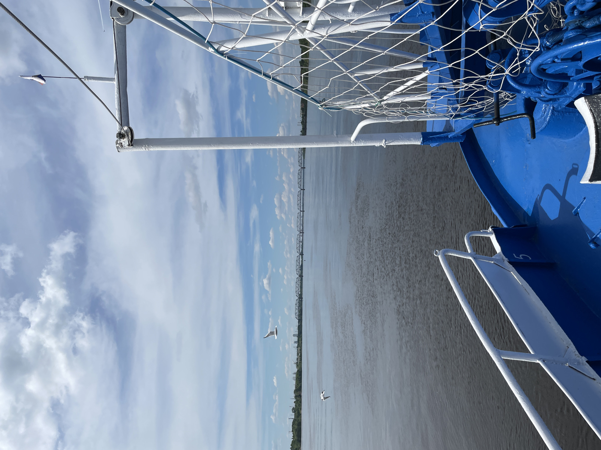 The image captures a wide-angle view from the deck of a blue and white vessel, likely a ship or large boat, traversing a broad river under a partly cloudy sky. The perspective is looking out over the water towards a distant horizon.
In the immediate foreground and right side, various components of the vessel are prominent. A bright blue hull section with white trim and white railings forms the base of the view. Above this, a white safety net stretches across the frame, supported by white metal structures. Towards the upper right, blue machinery, possibly a winch, with gears and ropes, is visible, with a black T-shaped wrench inserted into it. A white mast-like support structure extends from the left side, from which a small white and blue pennant or flag flutters from a wire. The number "5" is faintly visible on the blue hull near a white railing.
The calm surface of the river, mostly appearing dark gray with some lighter reflections from the sky, extends across the middle of the frame. Two white seagulls are in flight low over the water in the middle distance. Along the distant bank, a long, low-lying truss bridge spans the river. Beyond the bridge, a green treeline is visible, punctuated by what appear to be industrial structures or buildings on the far shoreline.
The sky is bright blue with scattered white and wispy clouds, indicating clear daytime weather, likely late morning or afternoon. The scene conveys a sense of peaceful travel along a waterway, potentially the Kama River in Perm, Russia. No people are visible in the image.