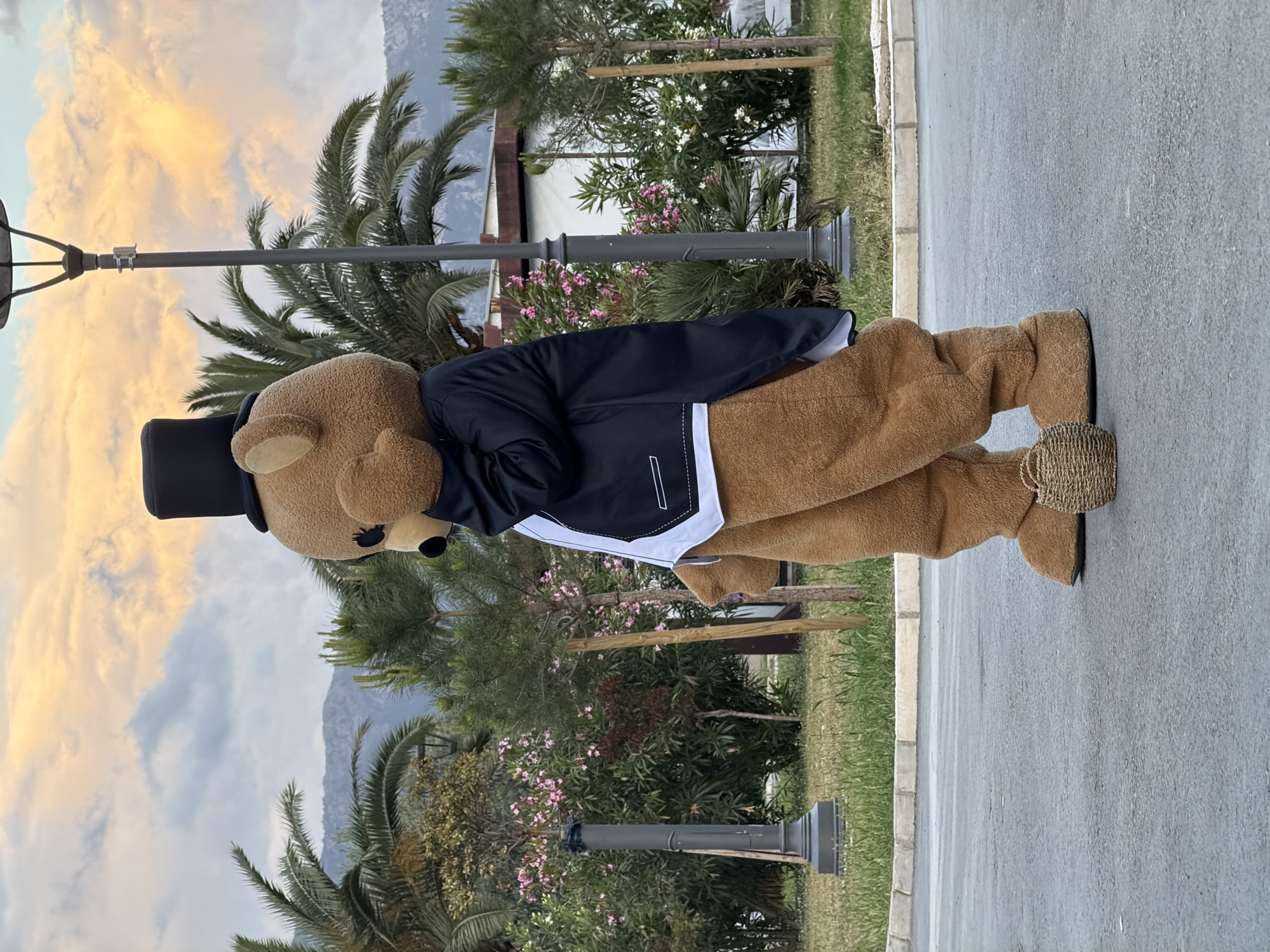 A person dressed in a brown teddy bear costume wearing a black top hat and tuxedo jacket stands on a paved surface. The teddy bear's feet are covered in a woven material. Behind the bear, there are trees, shrubs, and a light pole. In the background, a mountain is visible under a partly cloudy sky with hues of orange and yellow near the horizon. The image was taken in the city of Budva, Montenegro.