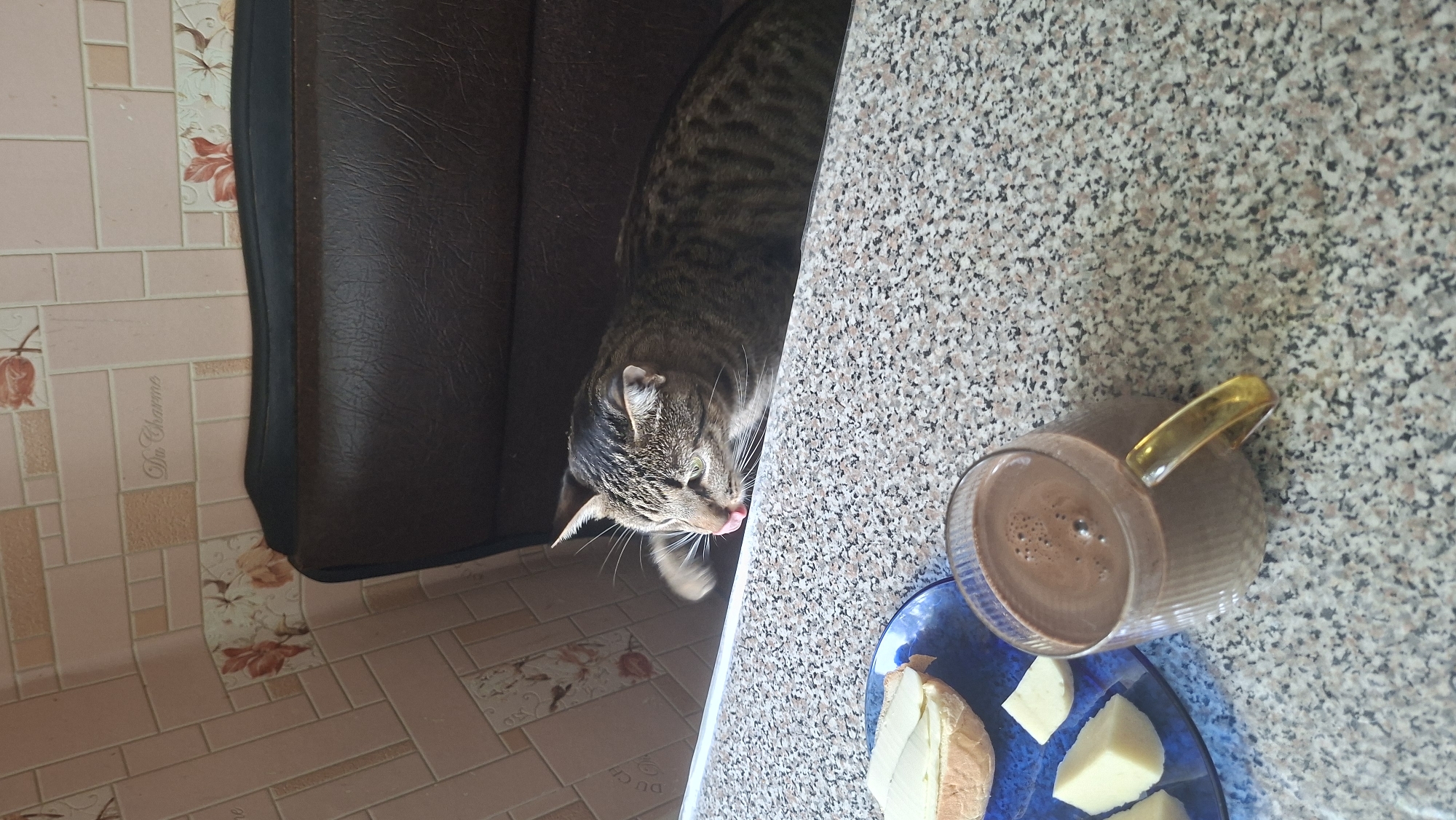 A tabby cat with green eyes is licking its lips while lying on a dark brown leather chair. The cat is positioned in the foreground, with its head and upper body visible as it faces left. To the left of the cat, on a speckled grey countertop, is a blue plate with a half-sandwich topped with butter and three pieces of cheese. A clear glass mug filled with a brown beverage, likely hot chocolate, sits to the right of the plate. The background features a pink tiled wall with floral patterns. The scene appears to be indoors, possibly in a kitchen or dining area. There is no indication of the city of Myadzyel, Belarus.