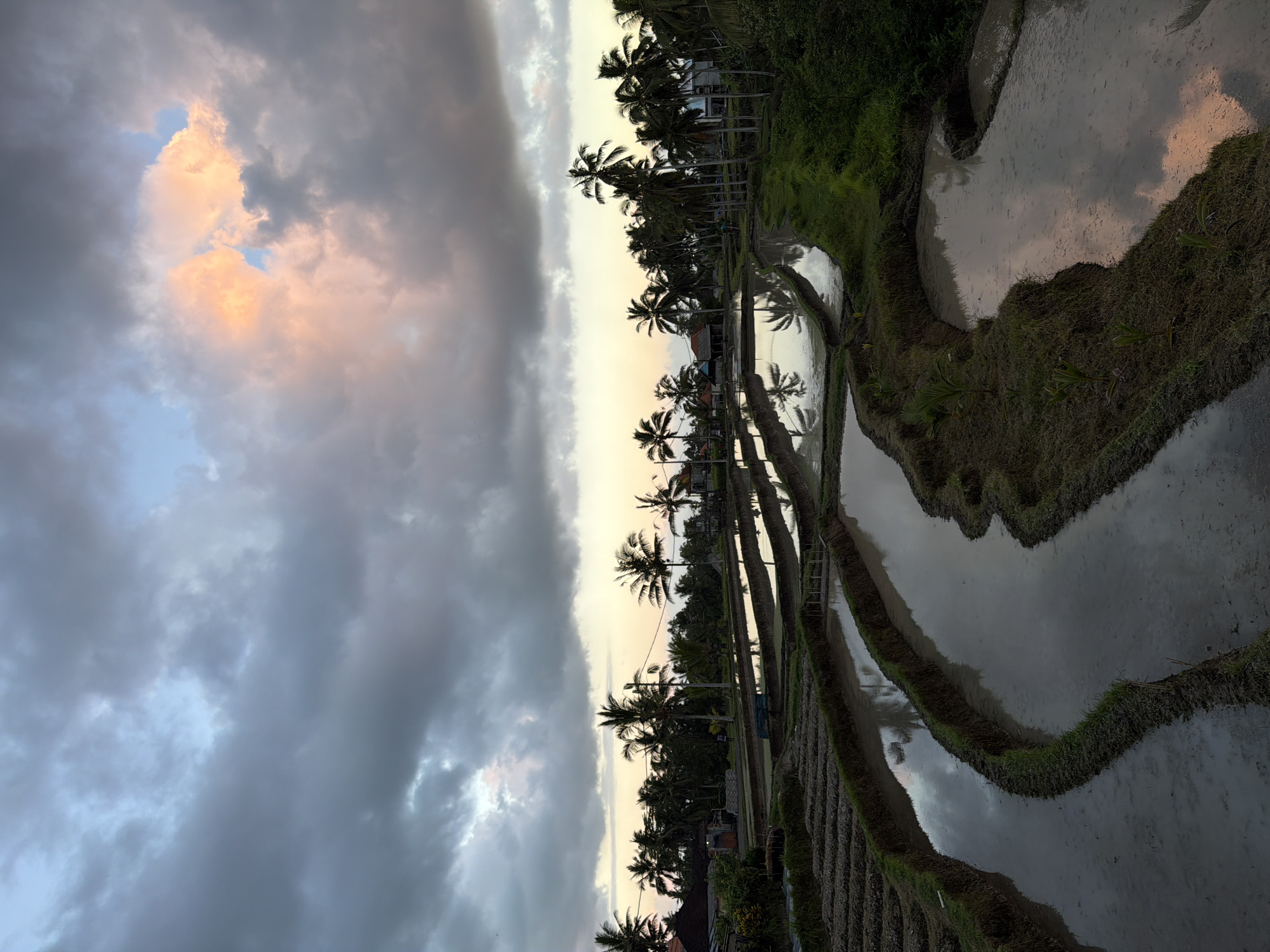 The image depicts the Tegallalang rice terraces in Indonesia at dusk. The sky is dramatic, with dark, heavy clouds dominating the upper portion, interspersed with patches of soft pink and orange light from the setting sun. Below the sky, a line of palm trees stands silhouetted against the horizon, with a few houses and other vegetation visible amongst them. The rice terraces themselves are a prominent feature, with water-filled paddies reflecting the sky and the surrounding palm trees. The terraces are constructed on a sloping landscape, creating a tiered effect. The overall atmosphere is serene and picturesque, characteristic of rural Indonesian landscapes at sunset.