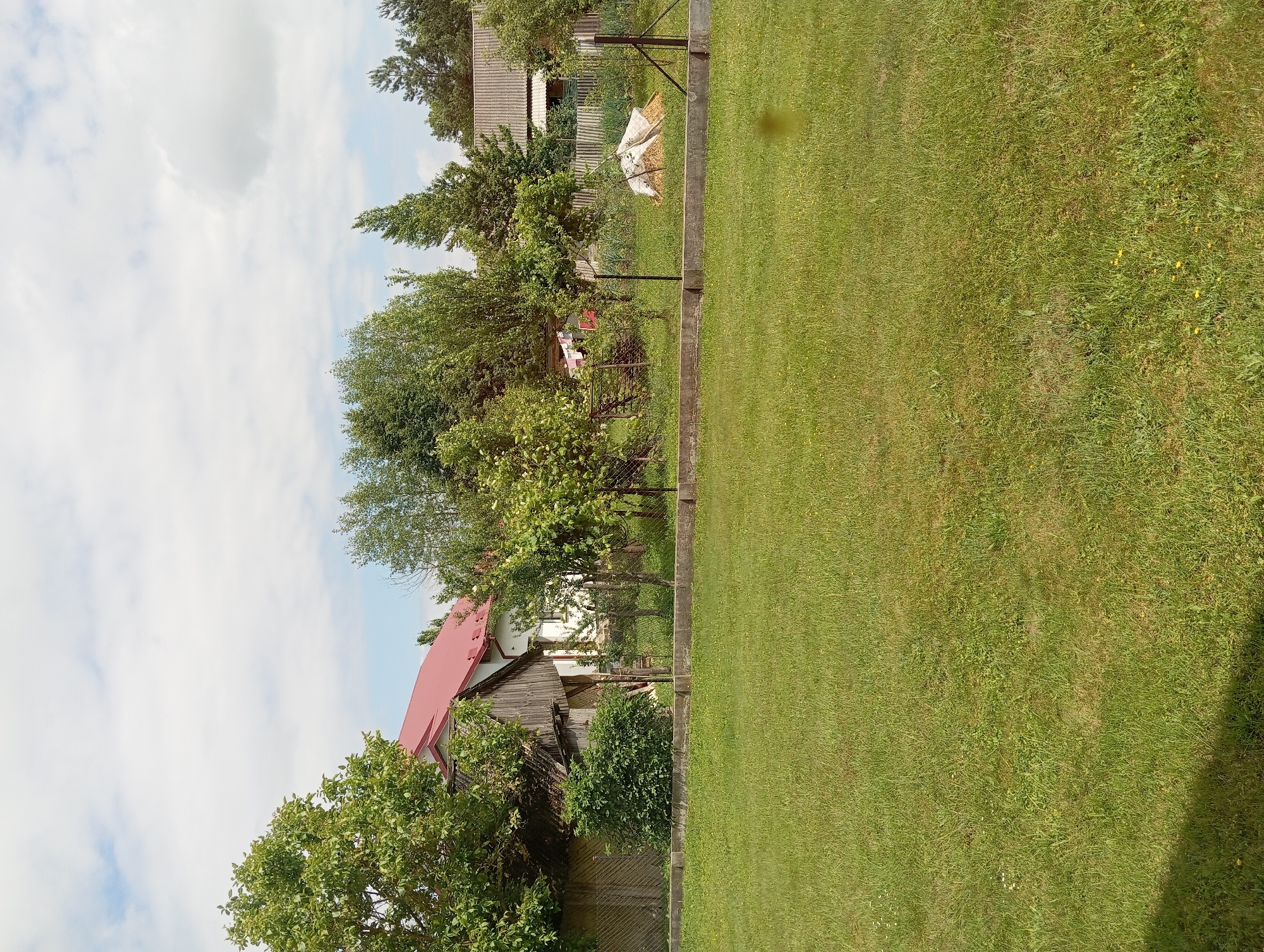 The image depicts a rural scene in Hlynytsi, Ukraine, on a cloudy day. In the foreground, a well-maintained green lawn stretches across the frame. A low, concrete border separates the lawn from a fenced-off area behind it.
Within the fenced area, several structures and elements are visible. To the left, a portion of a wooden building with a weathered appearance is present, adjacent to a large, leafy tree. Further to the right, a white building with a prominent red roof stands. A chain-link fence runs horizontally across the middle ground, demarcating the property.
Beyond the fence, the scene transitions into a more natural landscape. A variety of trees and bushes are scattered throughout the area. A clothesline with laundry hanging on it is visible, suggesting domestic activity. In the distance, another building with a gray, corrugated roof can be seen. Piles of what appear to be hay or straw bales are situated on the ground. The overall impression is one of a residential area in a village or rural setting, with elements of both cultivated land and natural vegetation.