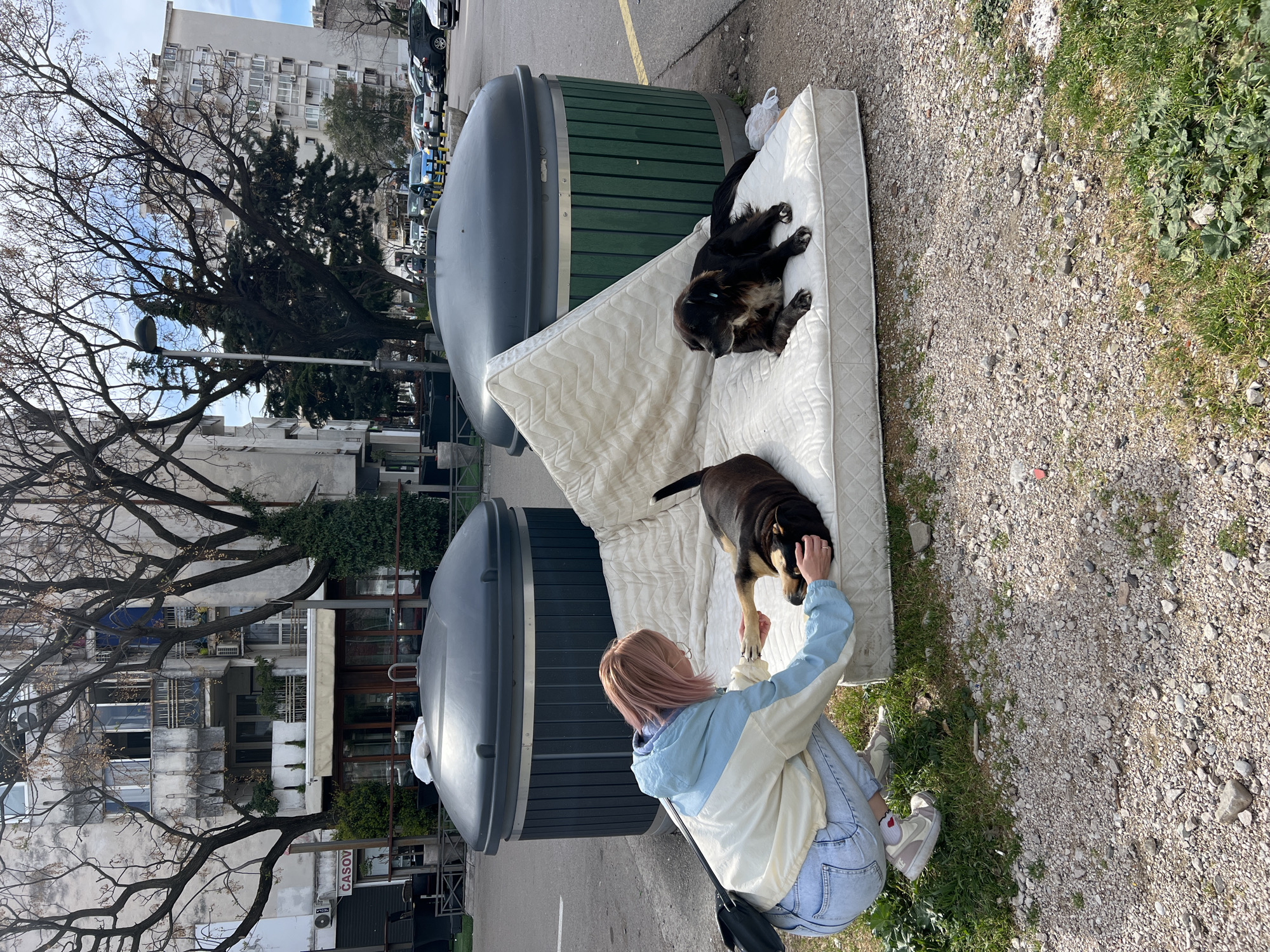A horizontal shot shows a person petting a dog lying on a mattress, with a second dog lying behind it, near large trash containers in Bar, Montenegro. The mattress is white and appears to be discarded next to the trash containers. A person with light pink hair wearing a blue and white jacket, blue jeans, and white sneakers is sitting and petting a dark brown and black dog that has its paw in the person's hand. Another dark dog is lying on the mattress behind the first dog. The scene is next to a street. Buildings and trees are in the background. The ground is gravel with some grass.