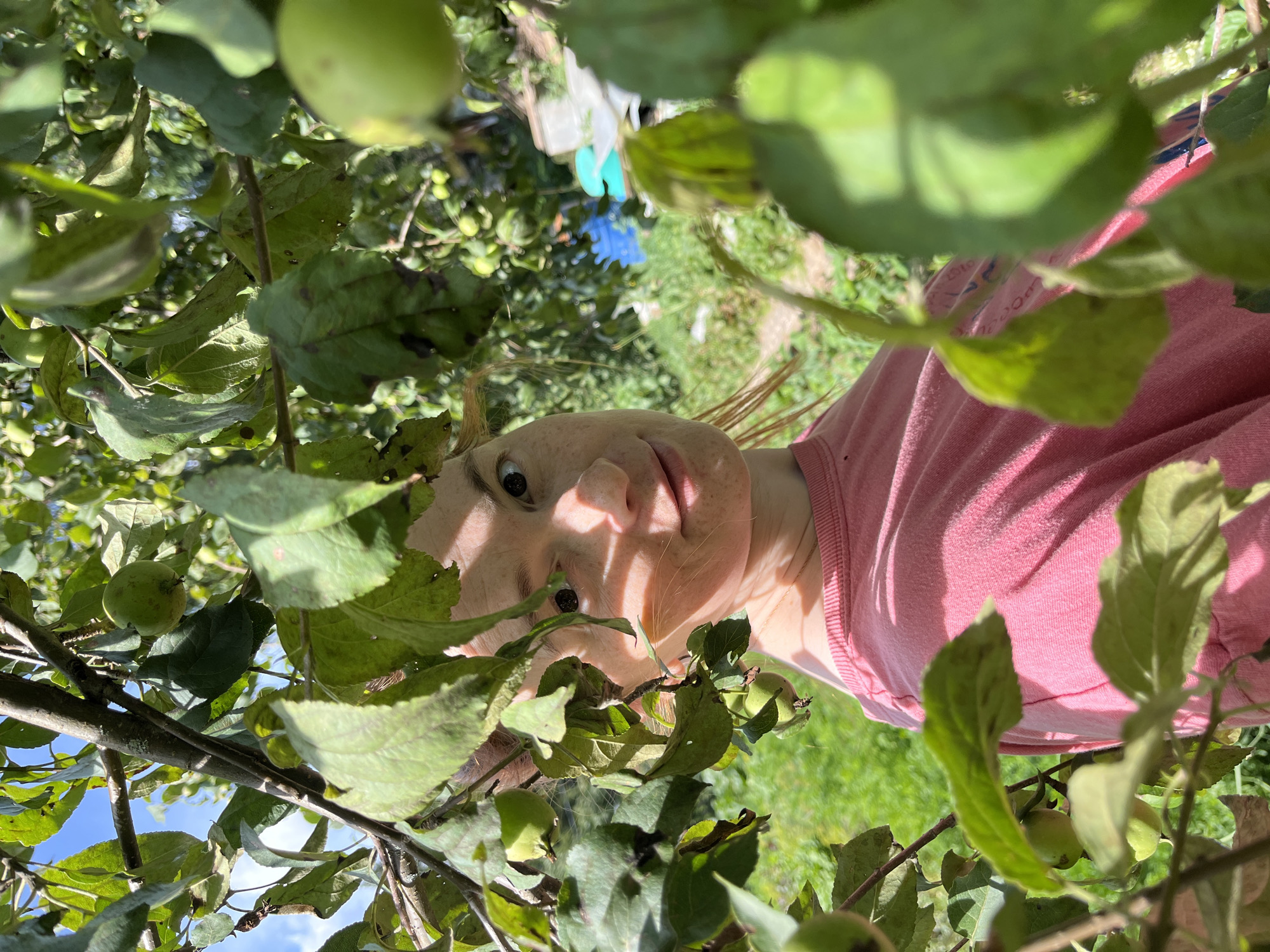 An outdoor medium shot shows a person with fair skin and freckles looking towards the camera from behind green leaves and branches of a tree. The person is wearing a pink t-shirt. The background is blurred, showing green foliage and a blue object. The setting appears to be a garden or orchard, consistent with a location in Igra, Russia, during daylight hours.