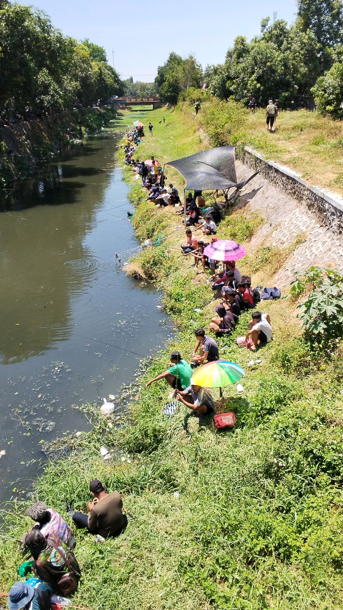 In Mojokerto, Indonesia, a group of people are gathered along the grassy banks of a narrow, dark river on a sunny day. Many are seated and engaged in fishing, holding fishing rods that extend into the water. Several individuals are gathered under shaded canopies or colorful umbrellas, providing respite from the sun. The river has some debris floating on its surface, and the banks are lined with trees and vegetation. A stone wall runs along the upper bank on the right side of the image. In the distance, a bridge crosses the river. The scene appears to be a popular spot for recreational fishing and community gathering.