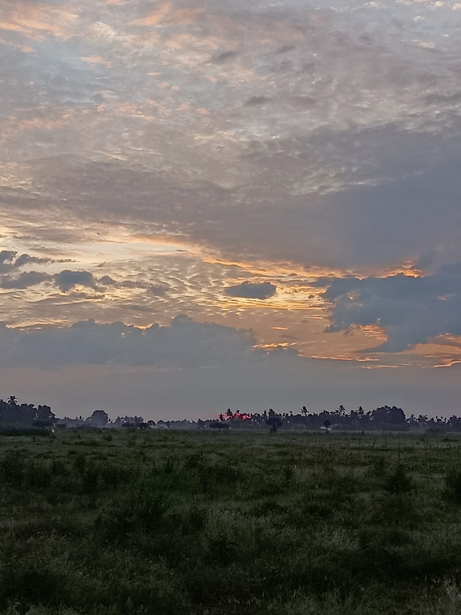 The image shows a wide, grassy field under a cloudy sky. The sky is filled with scattered clouds in shades of gray, white, and pink, with patches of orange light suggesting either sunrise or sunset. A line of silhouetted trees and structures forms the horizon in the distance. A small, red glow is visible in the far distance, possibly indicating a distant light source or the sun peeking through the clouds. The field in the foreground is densely covered with green grass and vegetation, appearing somewhat dewy or damp. The overall impression is one of a rural landscape at dawn or dusk. The location is identified as Meunasah Pupu, Indonesia.