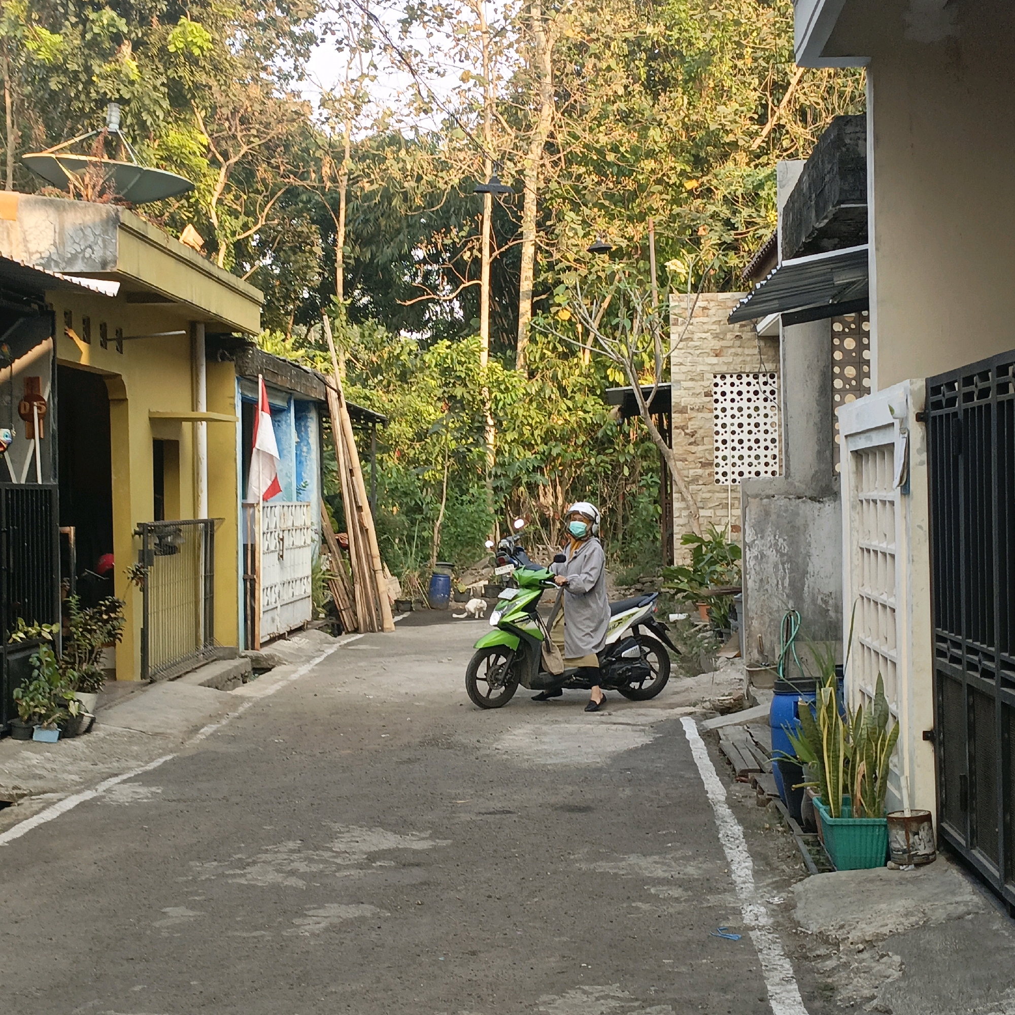 An Indonesian flag is displayed on a residential building in a narrow street in Salatiga, Indonesia. A woman wearing a face mask and helmet is seated on a green motorcycle in the middle of the street. The street is paved and there are residential buildings on both sides. Trees and vegetation are visible in the background. A white cat is also visible on the street near the motorcycle.