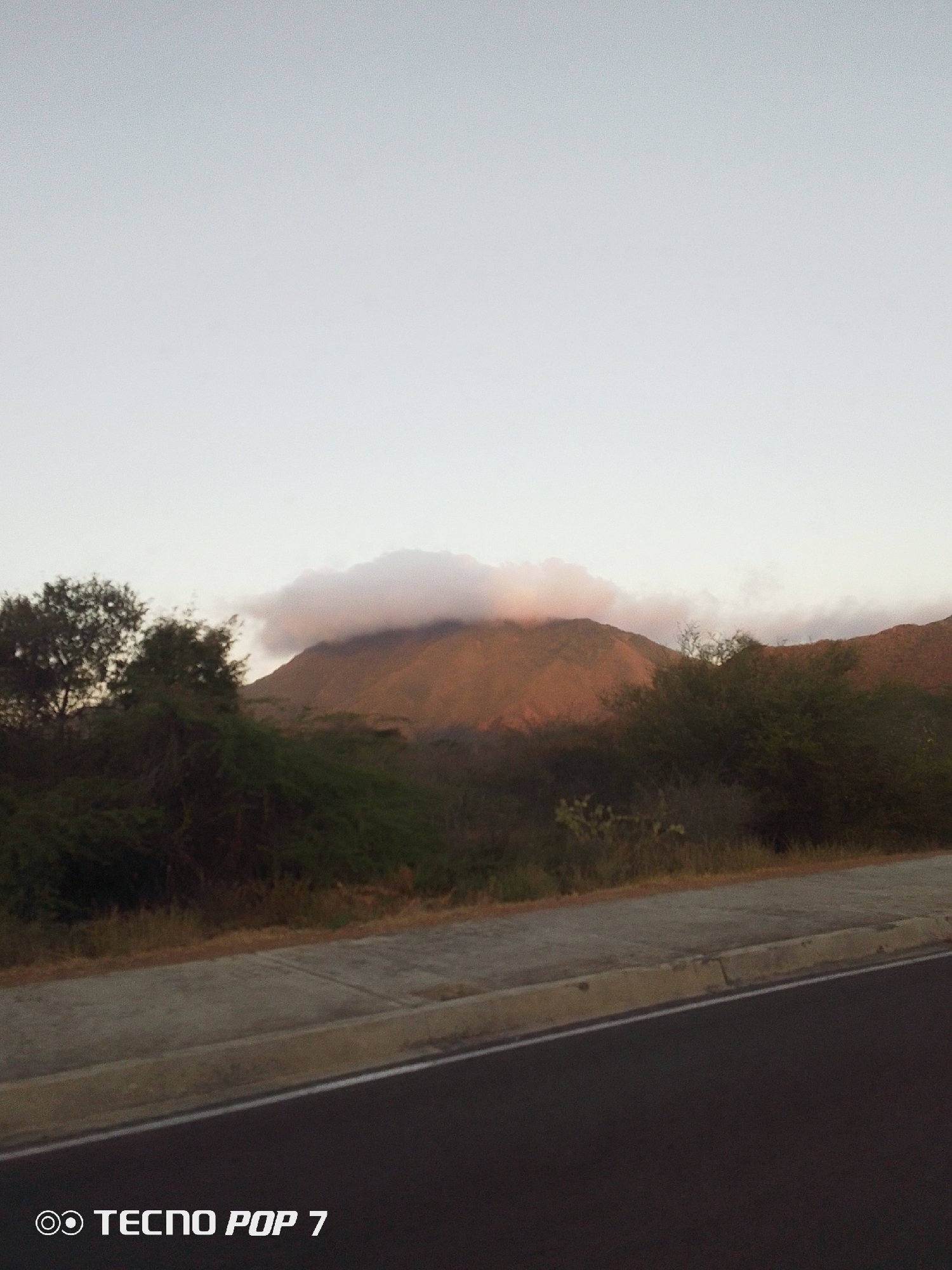 The image captures a landscape featuring a mountain partially obscured by a cloud, along a roadside. A road with a painted white line stretches across the bottom of the frame. In the middle ground, verdant bushes and trees create a natural barrier between the road and the mountain. The sky is an even, light grey, suggesting either early morning or late afternoon. The mountain's peak is shrouded in a low-hanging cloud, lending a sense of mystery to the scene. The lower left corner includes the mark "TECNO POP 7". The location is Altagracia, Venezuela.
