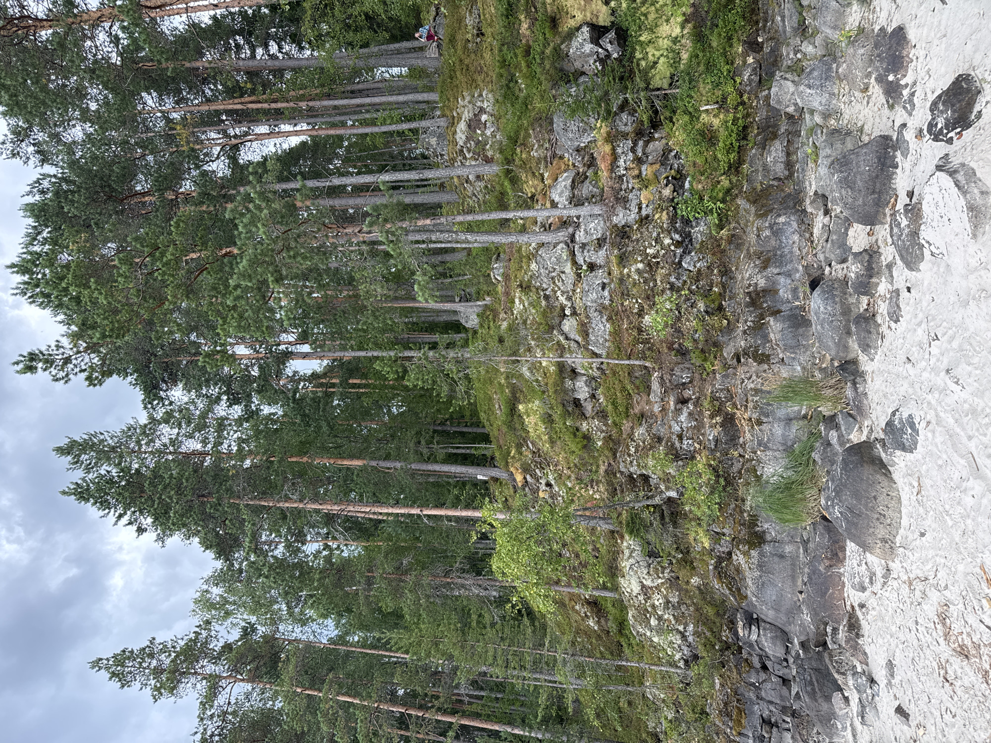 The image depicts a rocky, tree-covered shoreline. Tall, slender pine trees dominate the scene, growing from a slope covered in moss, rocks, and low-lying vegetation. The foreground features a sandy beach with scattered boulders of various sizes. In the upper right portion of the image, a person is seated on a rock, wearing a red and blue jacket and dark pants, looking to the left. The sky is overcast with gray clouds. The scene is consistent with a natural landscape found in a rural or wilderness area, possibly a lakeside or coastal environment. The mention of Sorola, Russia, suggests a geographical context for this type of terrain.