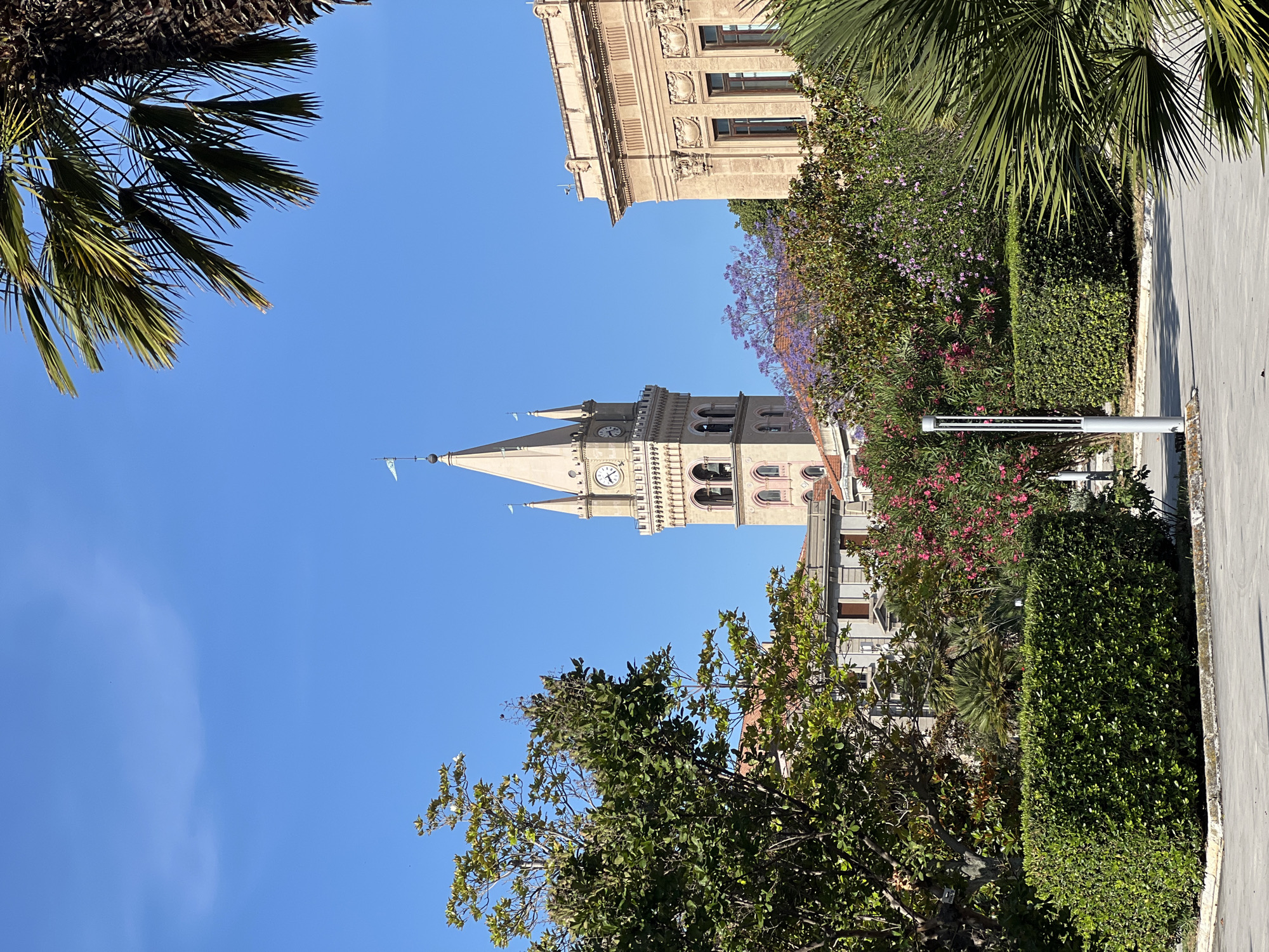 The image displays an exterior view of a prominent clock tower and surrounding urban greenery under a clear blue sky in Messina, Italy. The central subject is the **Messina Cathedral Bell Tower (Campanile del Duomo di Messina)**, a light-colored (likely sandstone or cream-hued) multi-tiered structure dominating the upper-center of the frame. It features a tall, pointed spire topped with a finial and a small, light-colored pennant or flag pointing towards the left. A smaller, pointed turret is positioned to the left of the main spire. Below the spire, a large clock face with dark Roman numerals and hands indicates approximately 10:15 or 10:20. Further down, the tower exhibits multiple arched openings (likely for bells) and intricate architectural detailing including corbelling and pilasters.
To the right of the clock tower, a section of a large, classical-style building with a light brown facade, ornate cornices, and decorative relief panels is visible. It features four recessed, dark-framed windows. Other less distinct buildings with terracotta roofs are partially visible behind the foliage in the midground.
The lower two-thirds of the image are filled with diverse vegetation. A large, dense green tree with broad leaves occupies the left midground, partially obscuring other buildings. Numerous bushes and trees with varying shades of green are spread across the midground. Patches of dark pink flowering bushes (possibly oleander) are visible to the right and left of a prominent rectangular, manicured hedge in the lower-center foreground. A tree with vibrant purple flowers (likely Jacaranda) is positioned between the central tree and the clock tower, slightly in front of the cathedral bell tower's base. On the far right and top right, dark green fronds of a palm tree are prominent, partially framing the scene. A smaller palm is visible in the midground to the right of the central tree.
The ground in the foreground is a light gray paved surface, possibly concrete or asphalt, with a raised curb running along the bottom edge of the hedge. A modern, slender, vertical light fixture, silver-gray in color, stands to the left of the hedge. The scene is brightly lit by natural sunlight, originating from the left, casting distinct shadows on the ground and vegetation. No people are visible in the image.