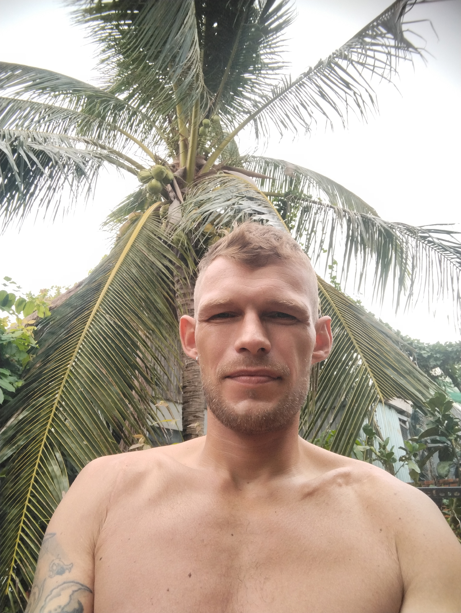 A shirtless Caucasian male is centered in the foreground, with a close-up view capturing his head and upper torso. He has fair skin, short blonde hair, and a light beard. A tattoo is visible on his left arm. Behind him is a large coconut palm tree bearing green coconuts. The setting appears to be outdoors, possibly in a tropical or subtropical environment. Based on the prompt the location of the image is Mũi Né, Vietnam. In the background, glimpses of foliage and what appear to be parts of buildings or structures can be seen. The sky is overcast.