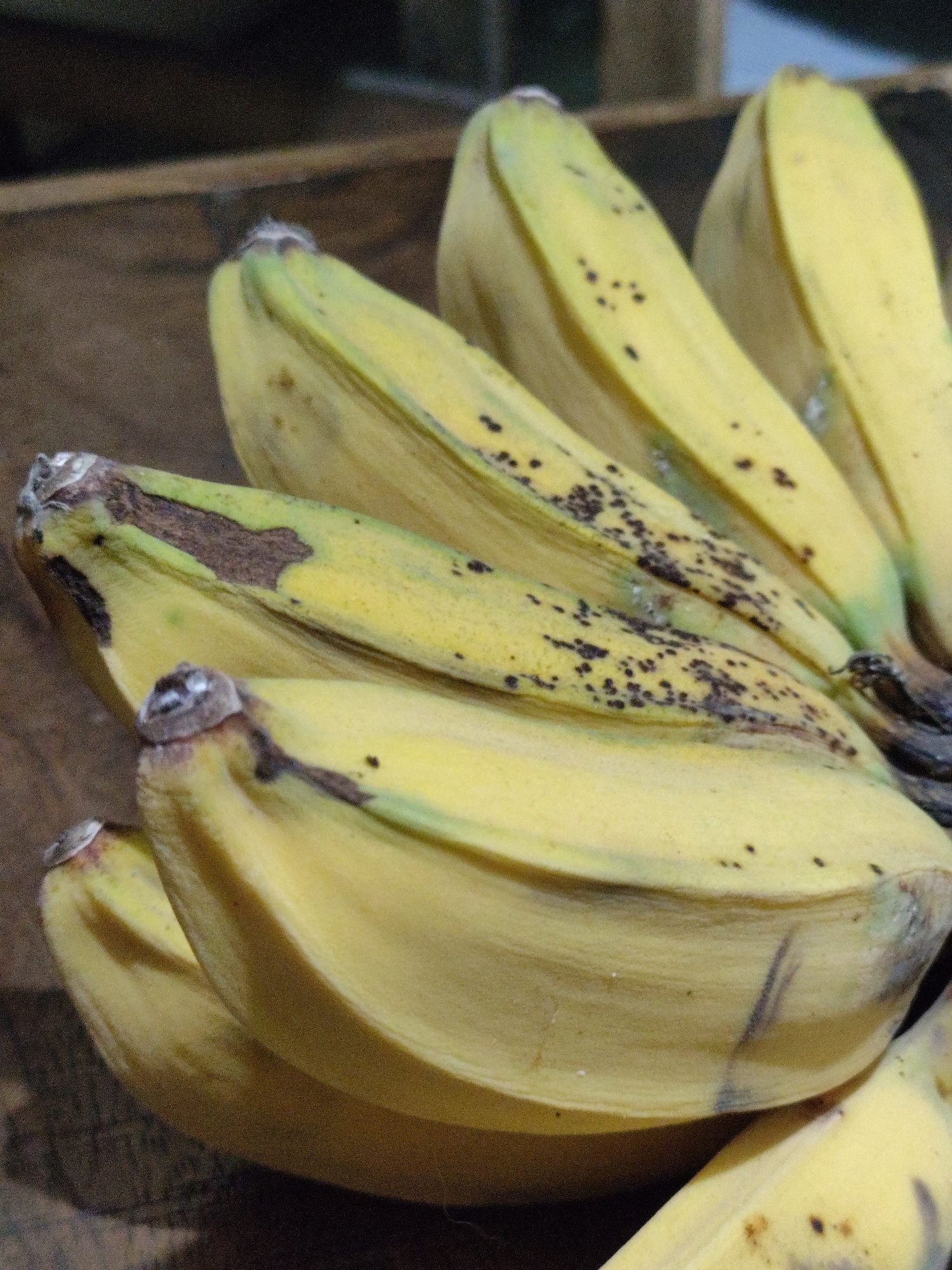 A bunch of ripe bananas, yellow with brown spots and streaks, rests on a dark, textured surface, possibly wood. The bananas are arranged diagonally from the bottom left to the top right of the frame. Some of the banana peels show dark brown blemishes, indicating ripeness. The background is dark and out of focus, with hints of wooden planks. The scene appears to be an indoor setting, likely in a home or market, in Bulakrejo, Indonesia.