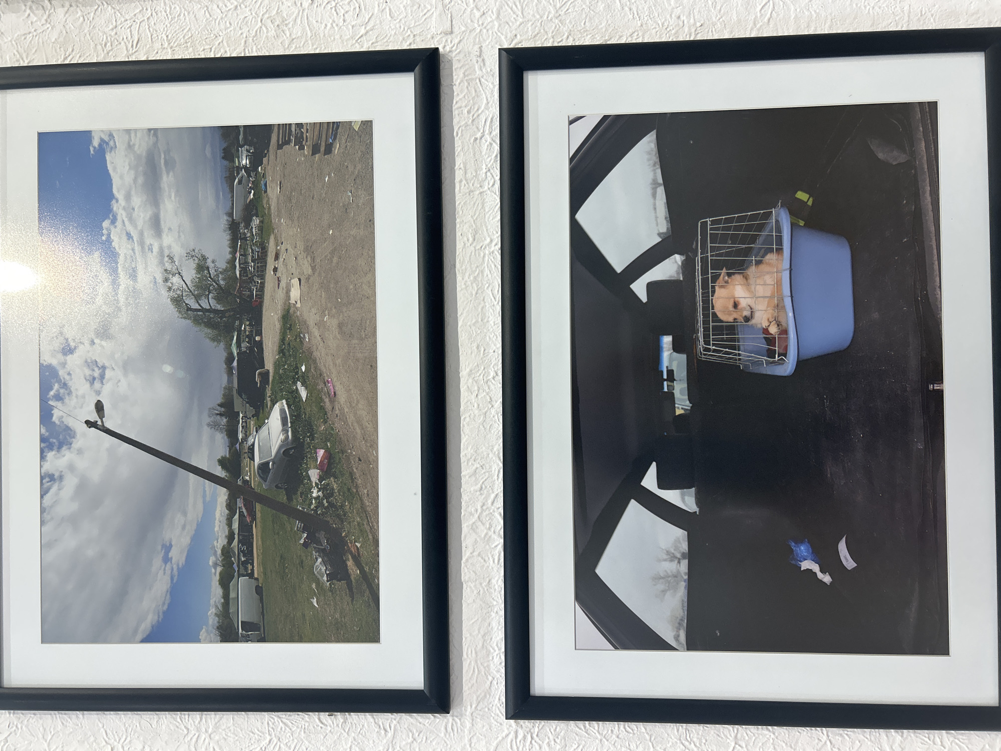 Two framed photographs hang side-by-side on a textured white wall.
The photograph on the left depicts an outdoor scene during the day, oriented on its side. The scene shows a dirt or gravel area with assorted debris scattered throughout. A leaning utility pole is visible on the left side of the frame. Vehicles, including a white van, are also visible amid the trash and foliage. The sky is partly cloudy.
The photograph on the right shows the interior of a vehicle, specifically the rear cargo area. A small dog sits inside a wire cage resting within a blue plastic container. The back windows and rear windshield are visible, and some trash lies on the cargo area floor.
The location is not discernible from the available information.