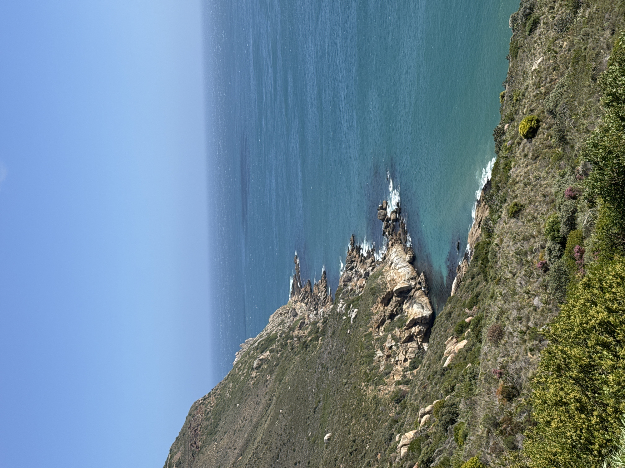 A high-angle, wide shot captures a rugged, green hillside sloping down to meet a turquoise ocean under a clear blue sky. The hillside is covered in dense, dry grasses and scattered low-lying shrubs, with exposed rocks and boulders dotting the landscape. The coastline is rocky and irregular, with waves crashing against the shore. The ocean stretches out to the horizon, appearing calm and vast. The scene suggests a natural, undeveloped coastal environment.