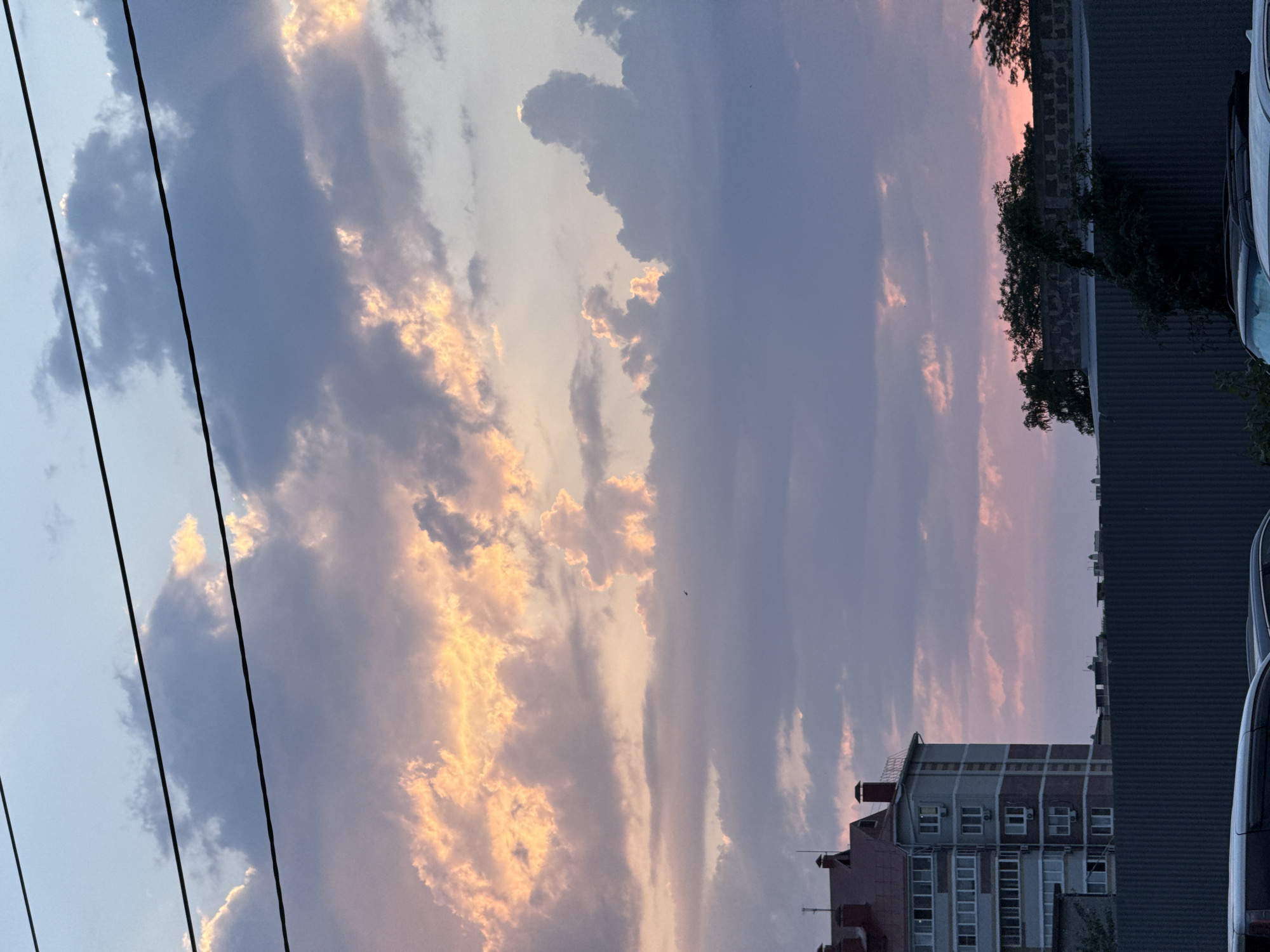 The image depicts a twilight sky over Anapa, Russia, characterized by a mix of dramatic clouds. The sky transitions from a pale blue at the top to hues of pink and orange where sunlight catches the clouds, interspersed with darker, purpler storm clouds. Three dark power lines stretch horizontally across the upper portion of the frame.
In the lower half of the image, a multi-story apartment building with a red roof and visible windows stands to the left. A grey corrugated metal fence runs horizontally across the foreground, obscuring the lower part of the scene. Behind the fence, dark silhouettes of trees and other buildings are visible. Two vehicles are partially visible at the very bottom of the image, suggesting an urban or suburban setting. A small bird is visible in flight in the mid-ground sky. The overall impression is of a dramatic sky at dusk over a populated area.
